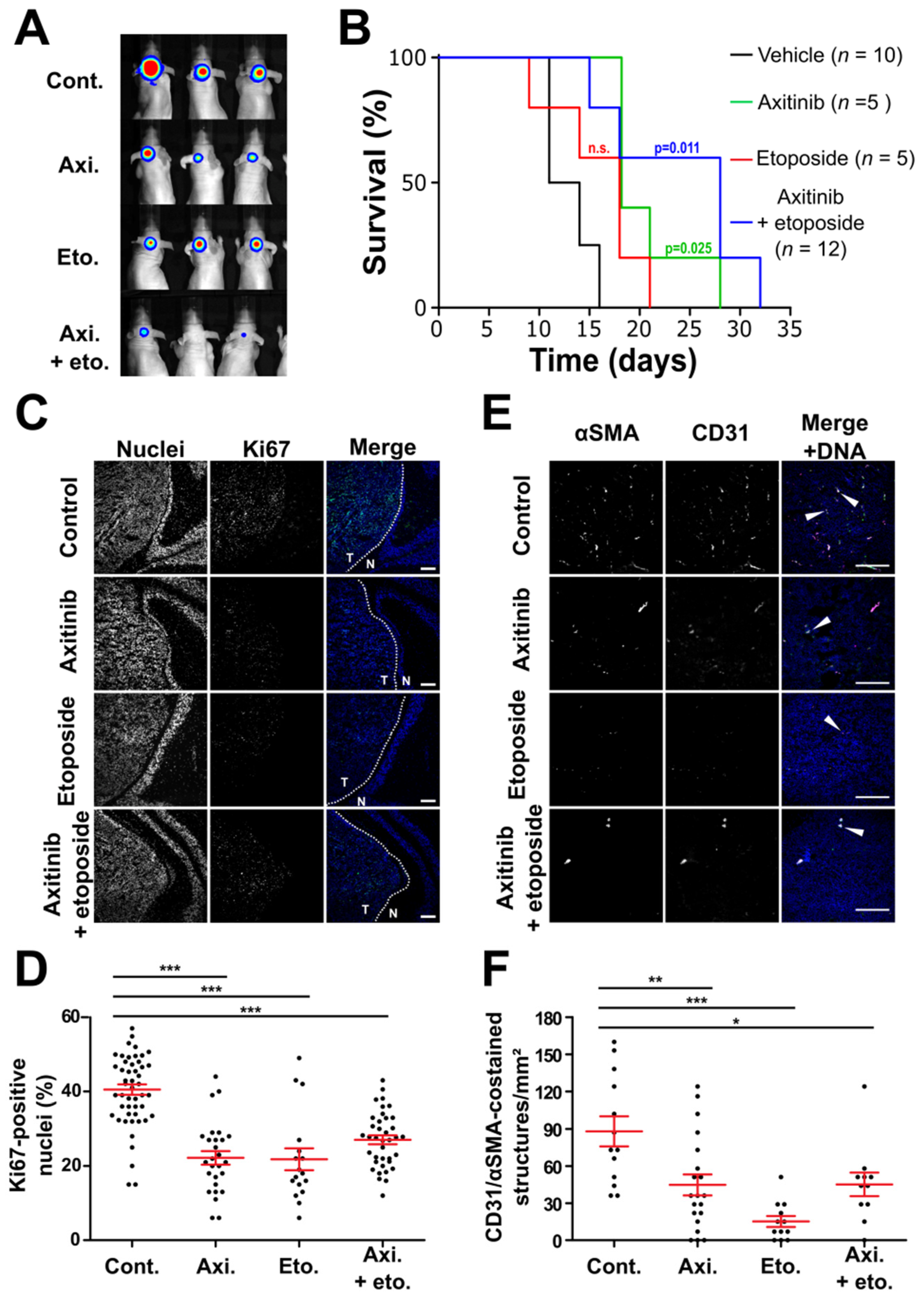 Cancers 14 00070 g004