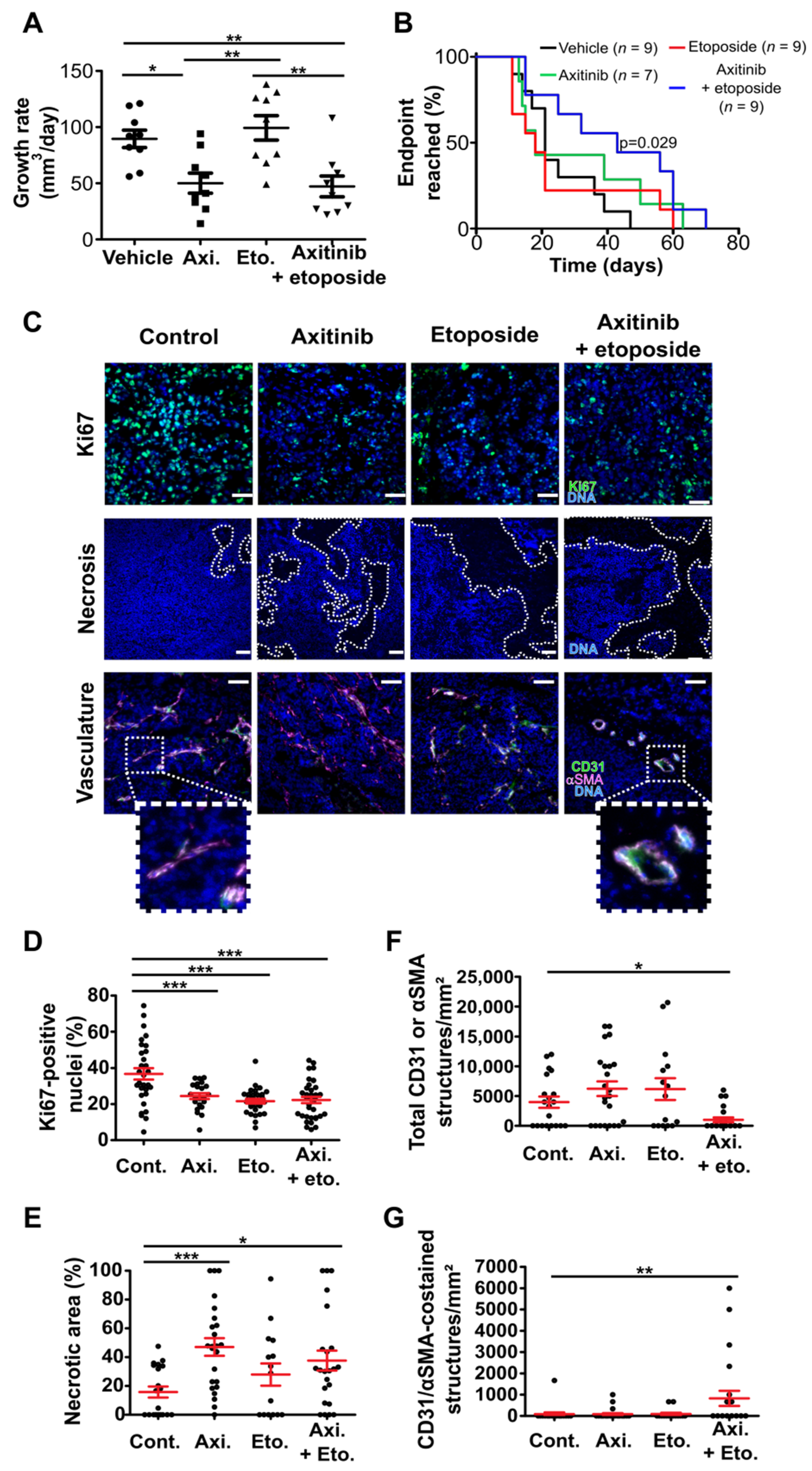 Cancers 14 00070 g005