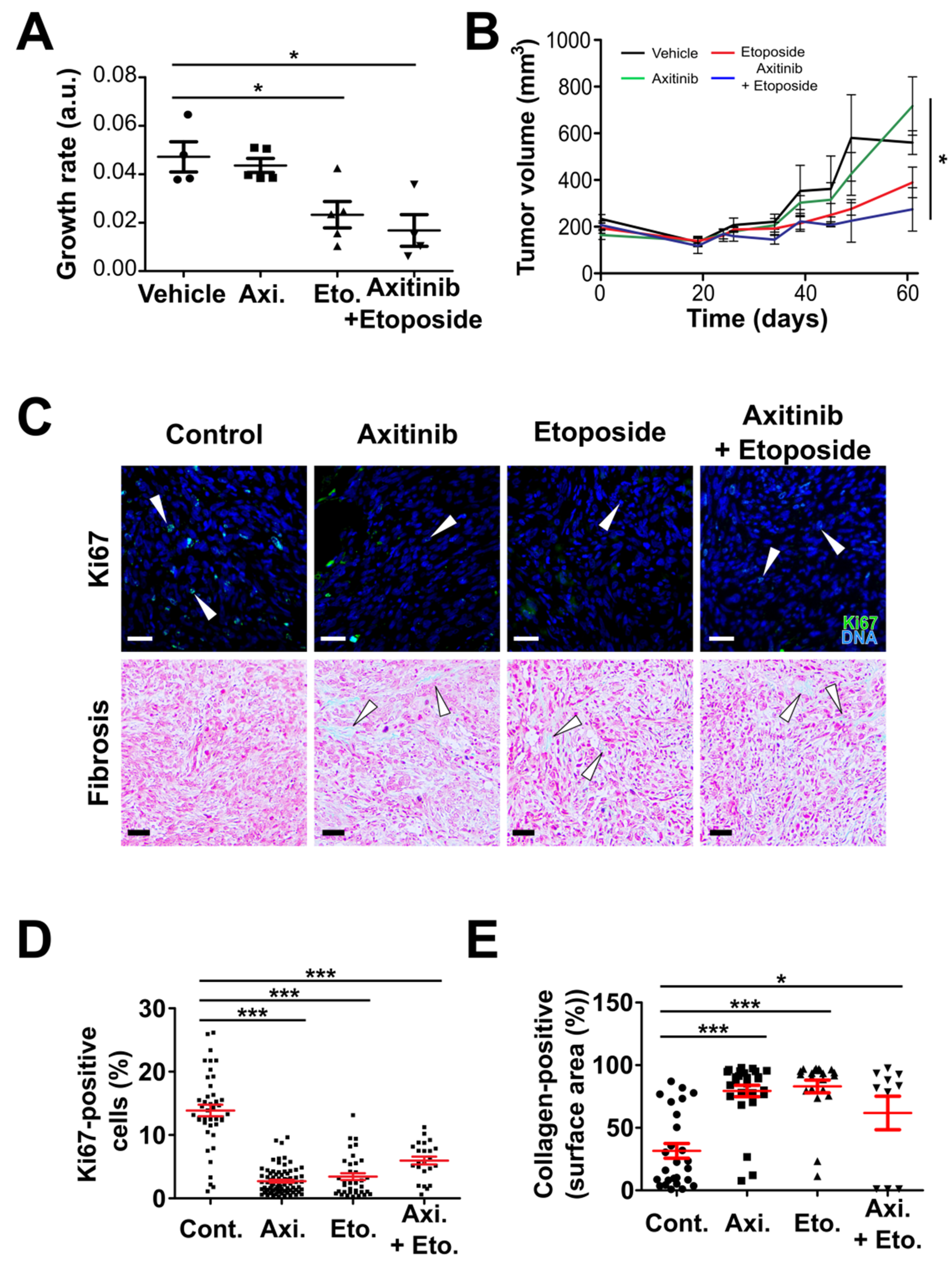 Cancers 14 00070 g006