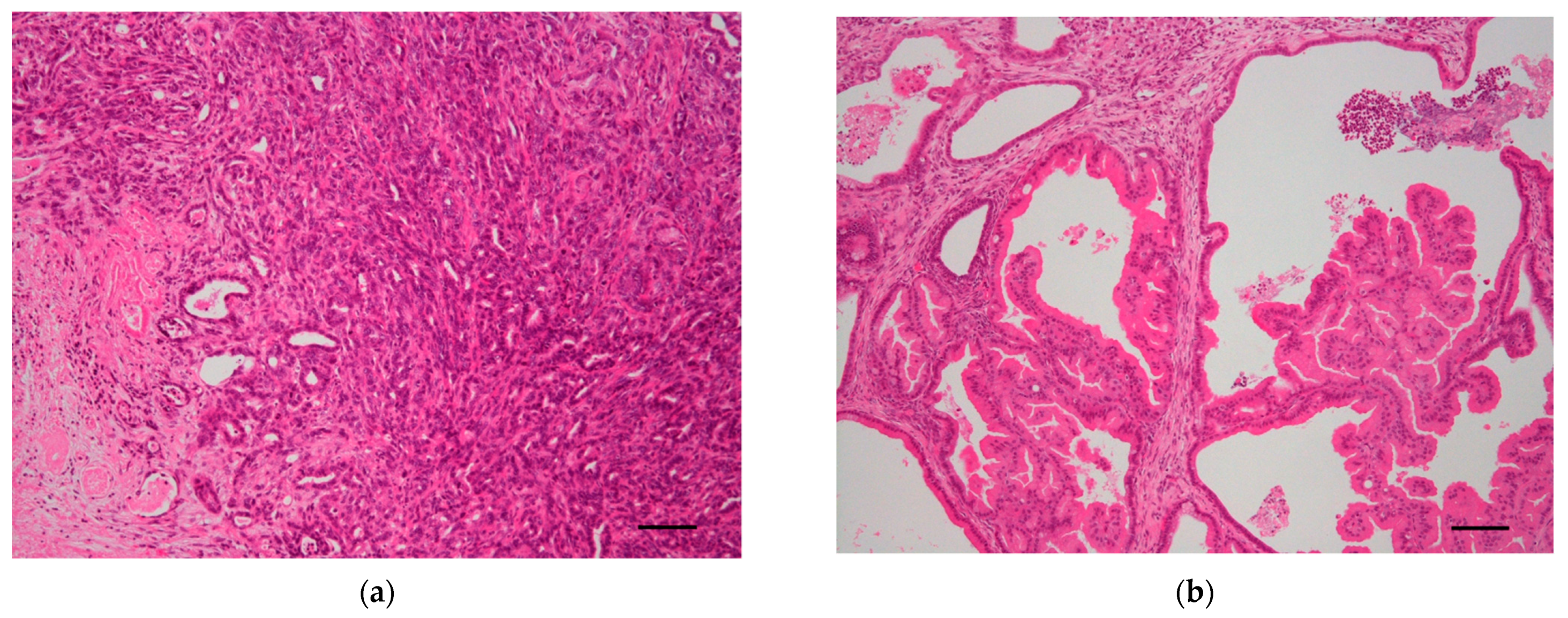 Cancers 14 00071 g003a