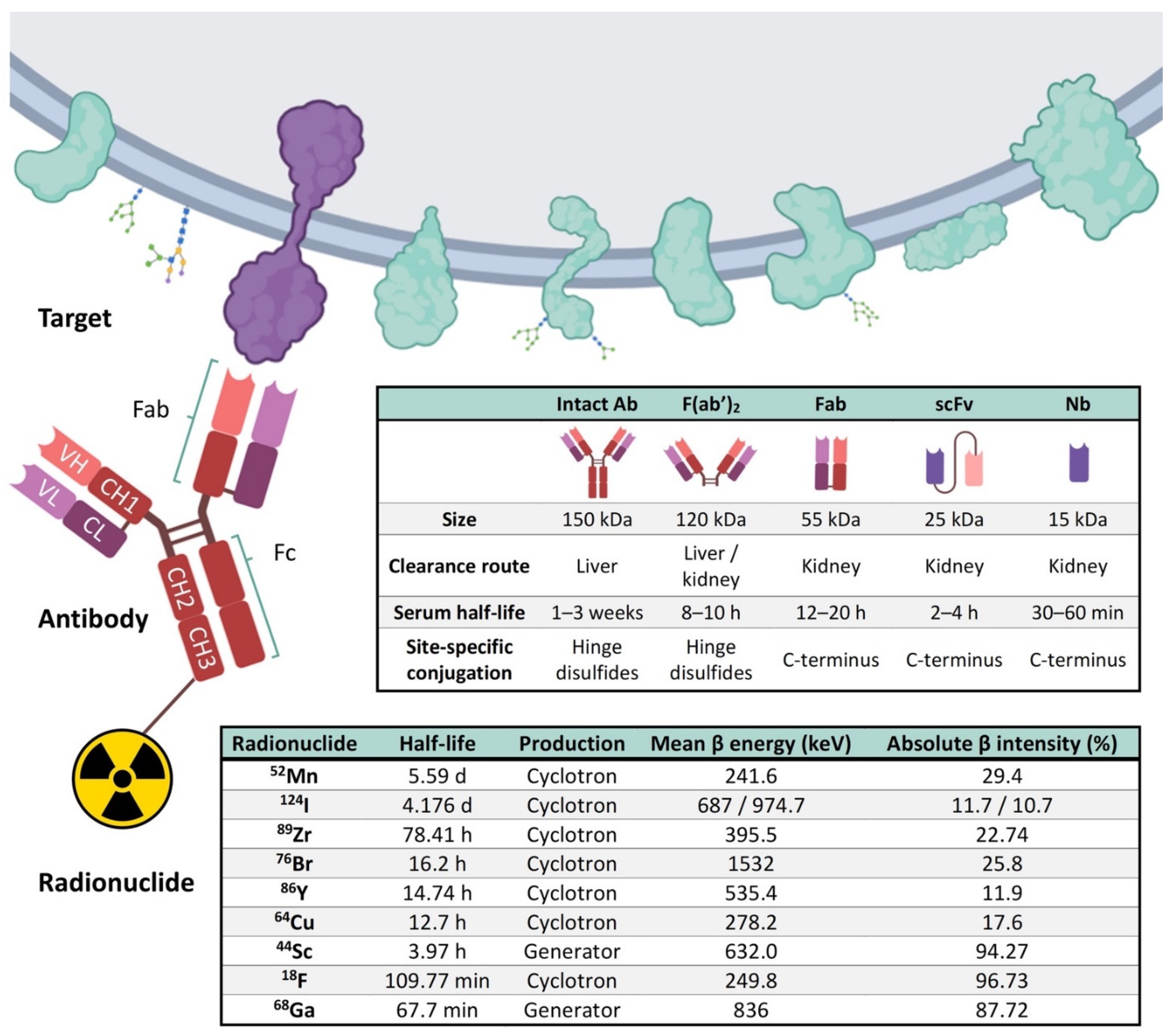 Cancers 14 00074 g004 Cancers 14 00074 g004