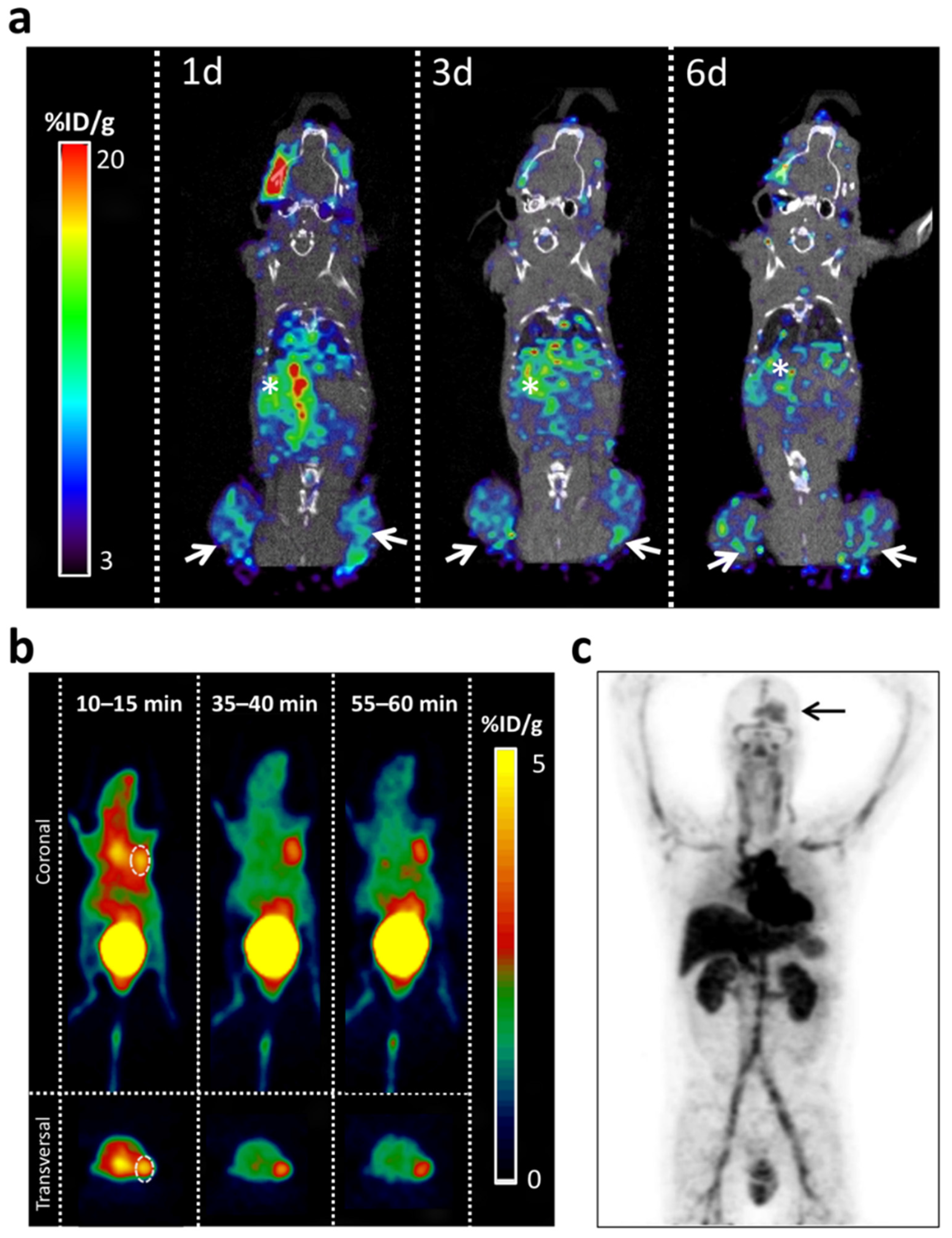 Cancers 14 00074 g005 Cancers 14 00074 g005