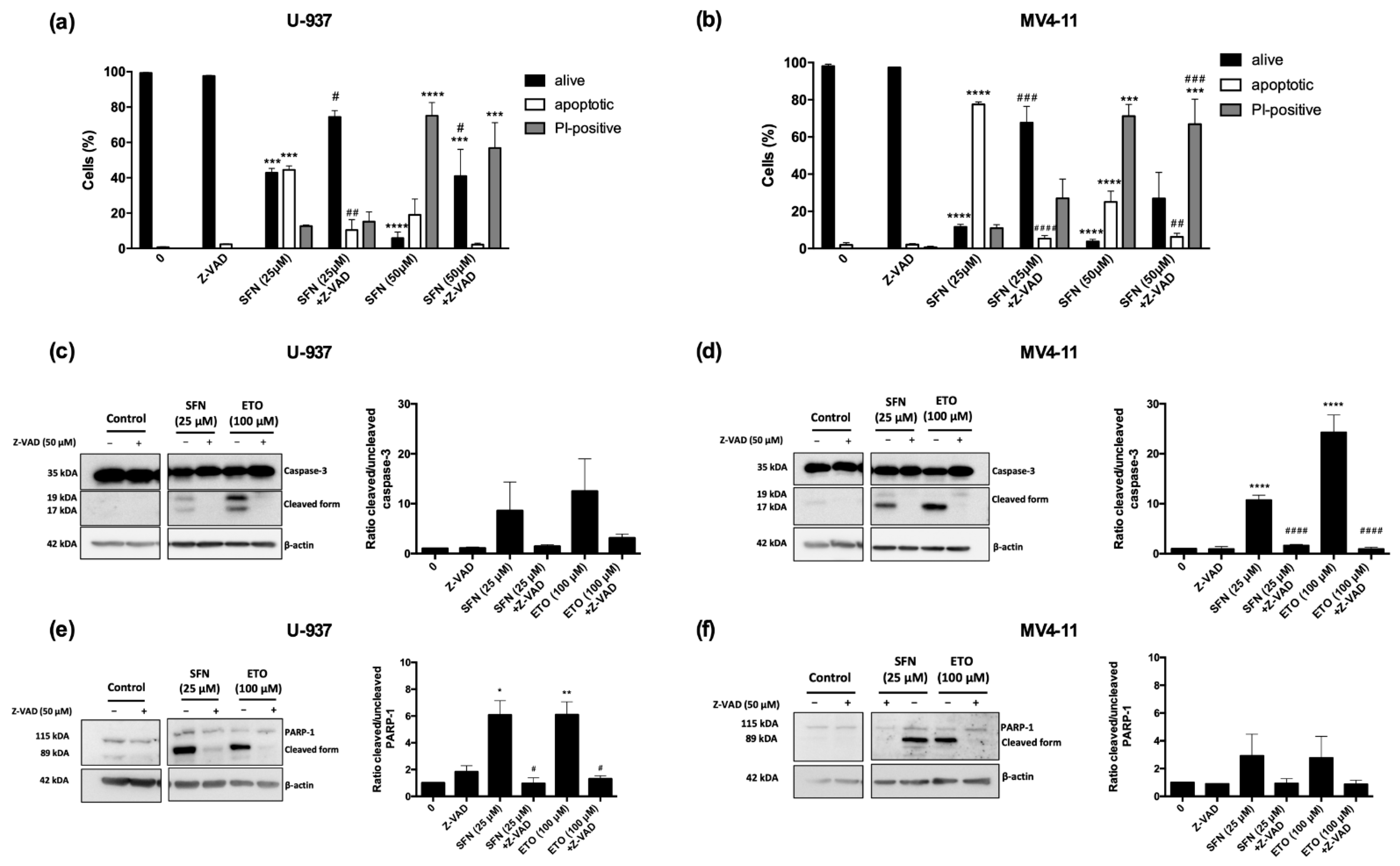 Cancers 14 00076 g002