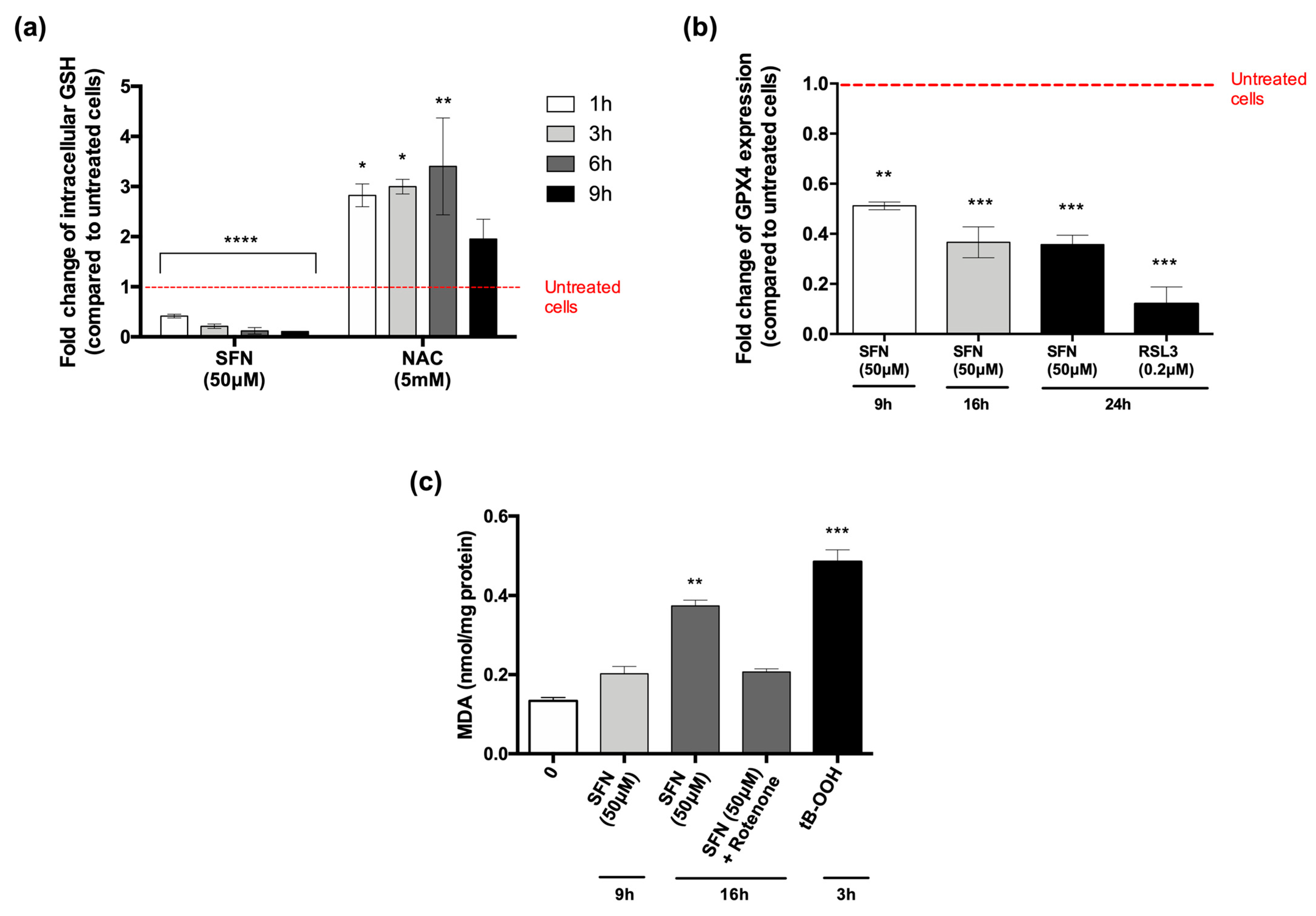 Cancers 14 00076 g005