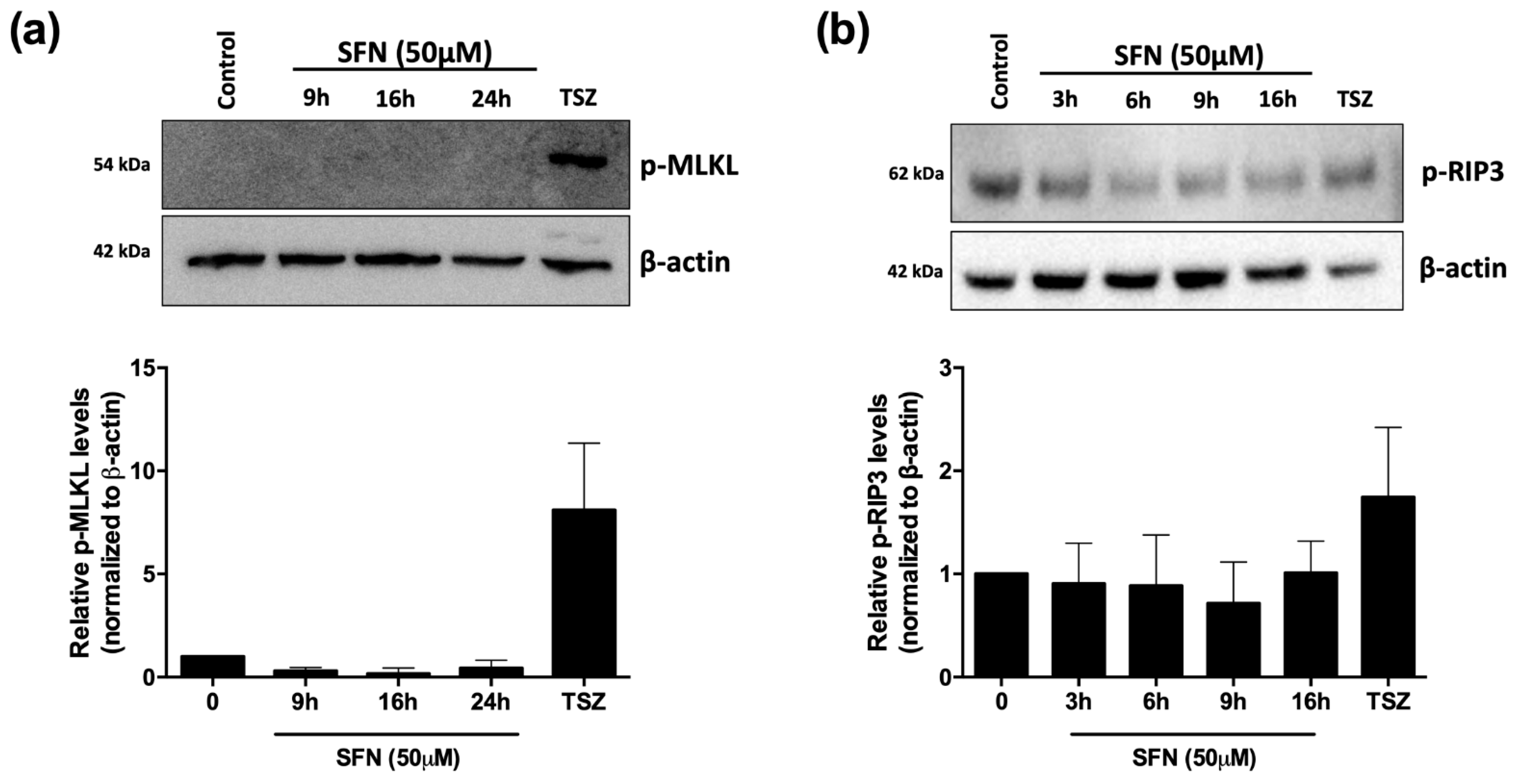 Cancers 14 00076 g006
