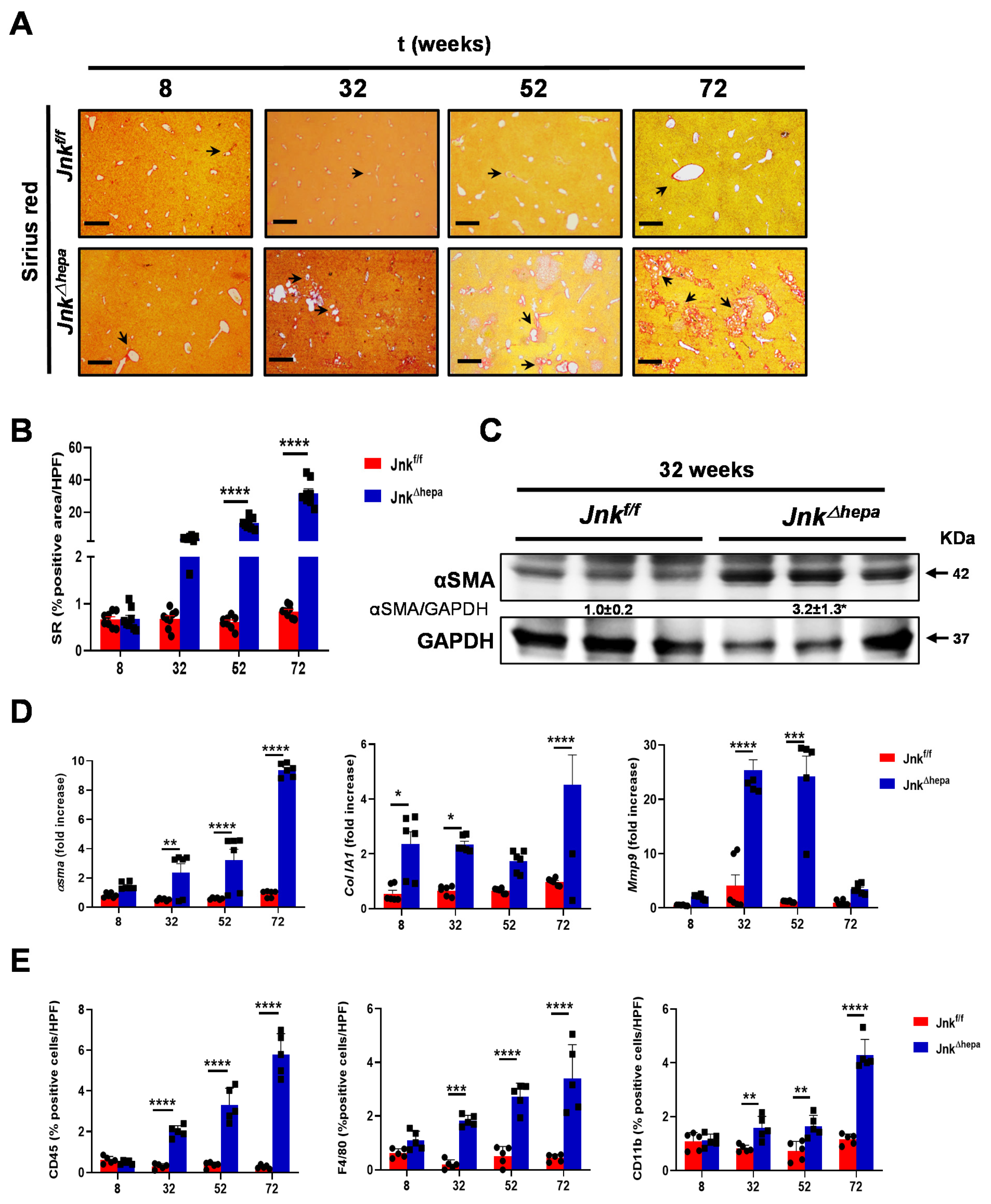 Cancers 14 00078 g001