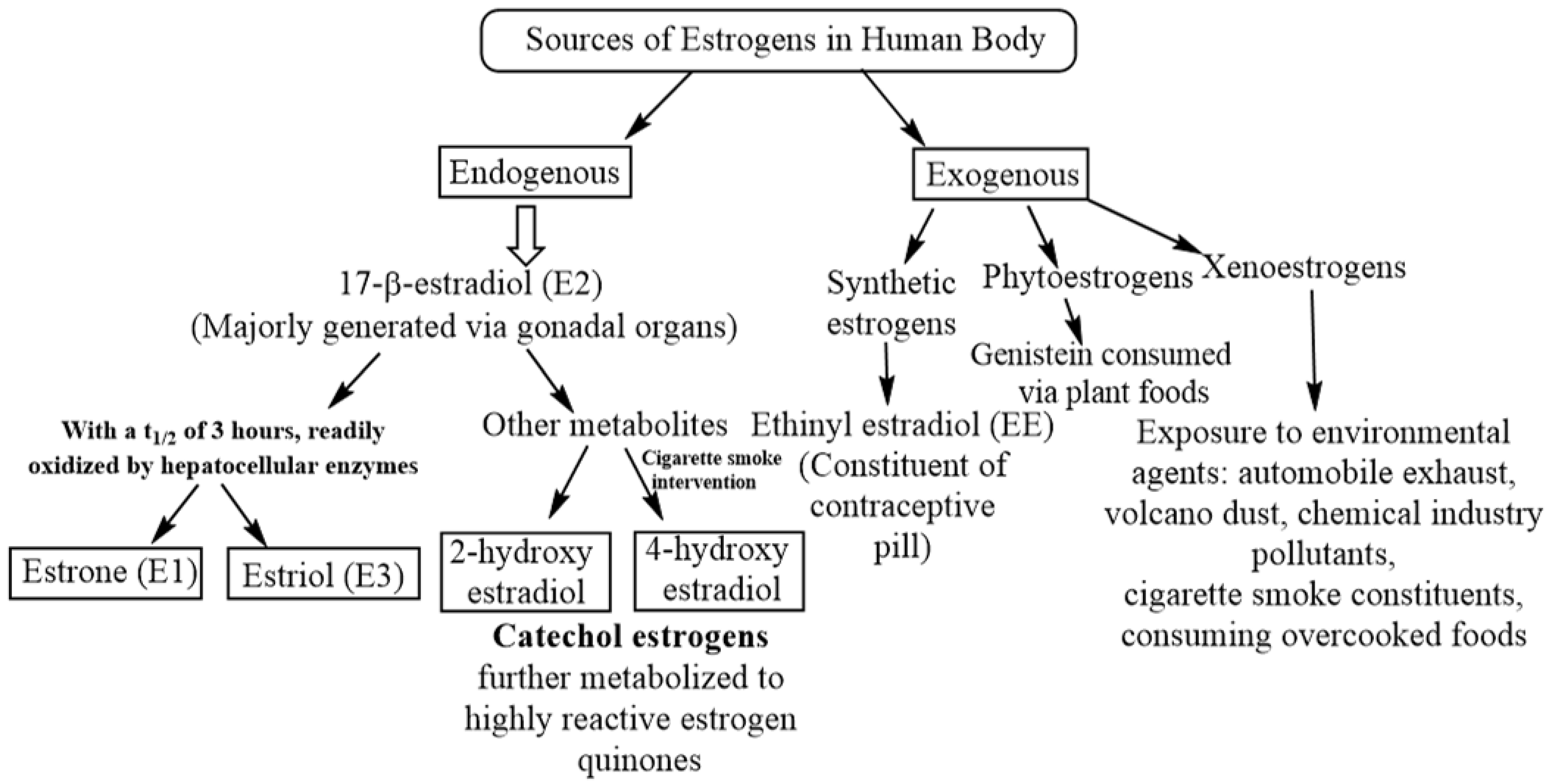 Cancers 14 00080 g001 Cancers 14 00080 g001