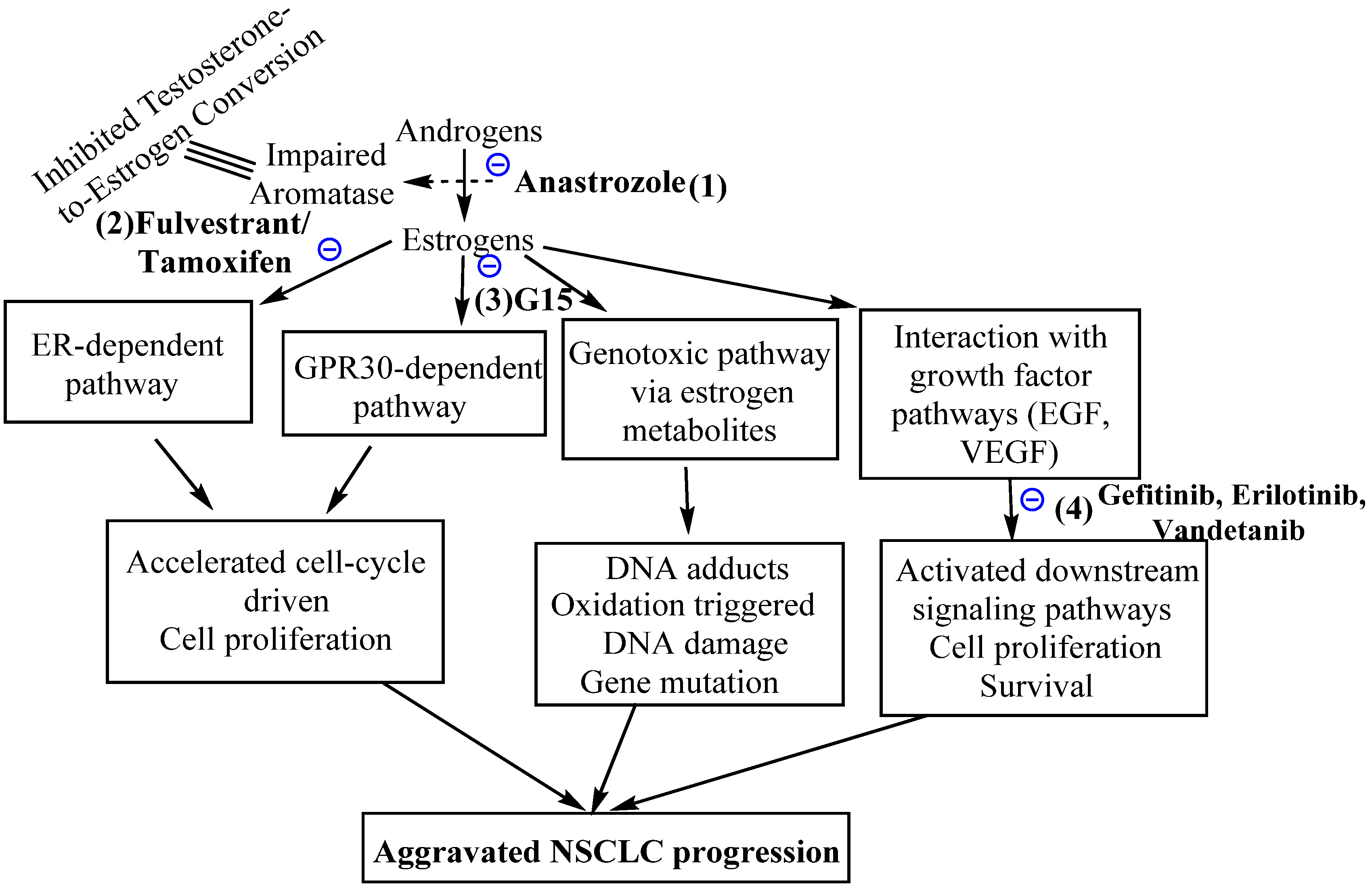 Cancers 14 00080 g004 Cancers 14 00080 g004
