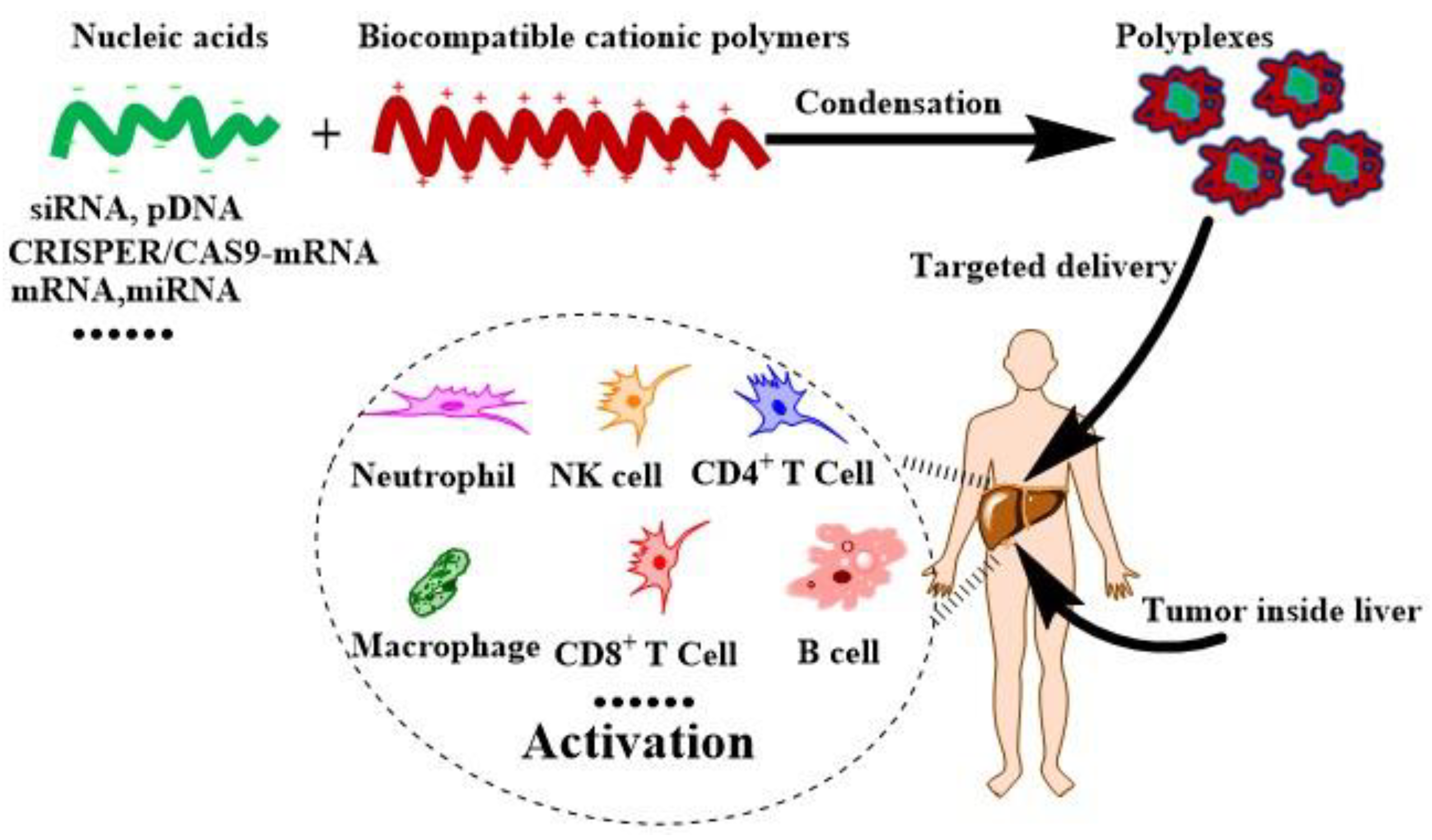 Cancers 14 00085 g001 Cancers 14 00085 g001