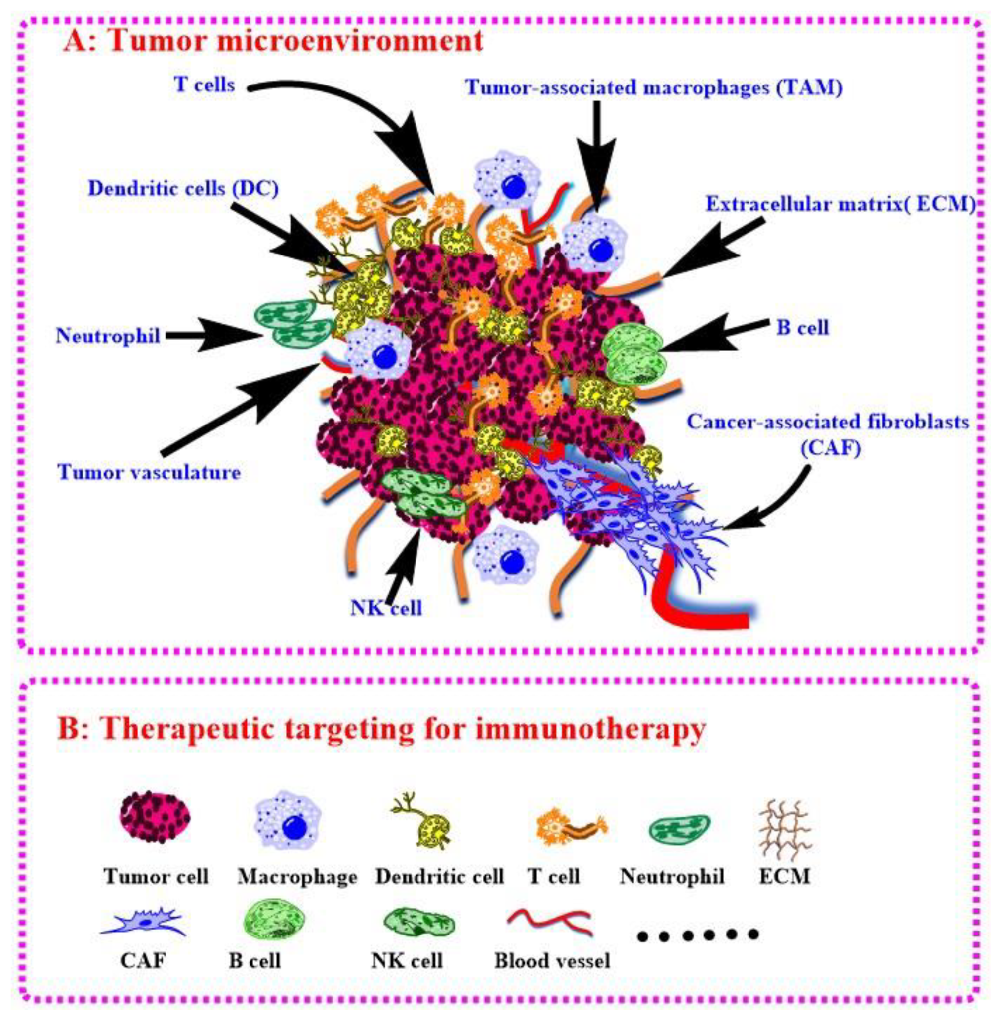 Cancers 14 00085 g005 Cancers 14 00085 g005