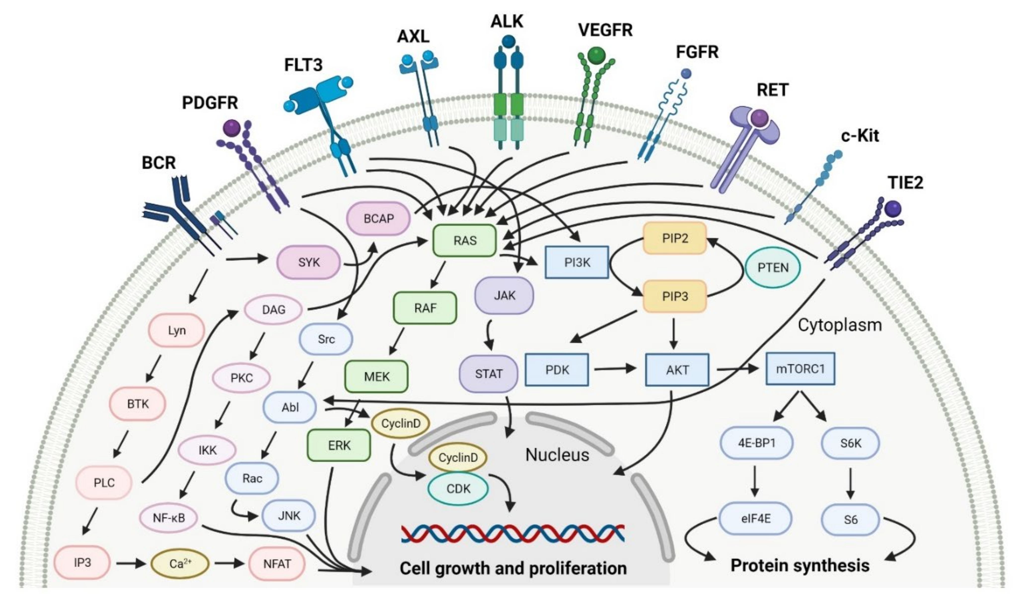 Cancers 14 00087 g002 Cancers 14 00087 g002
