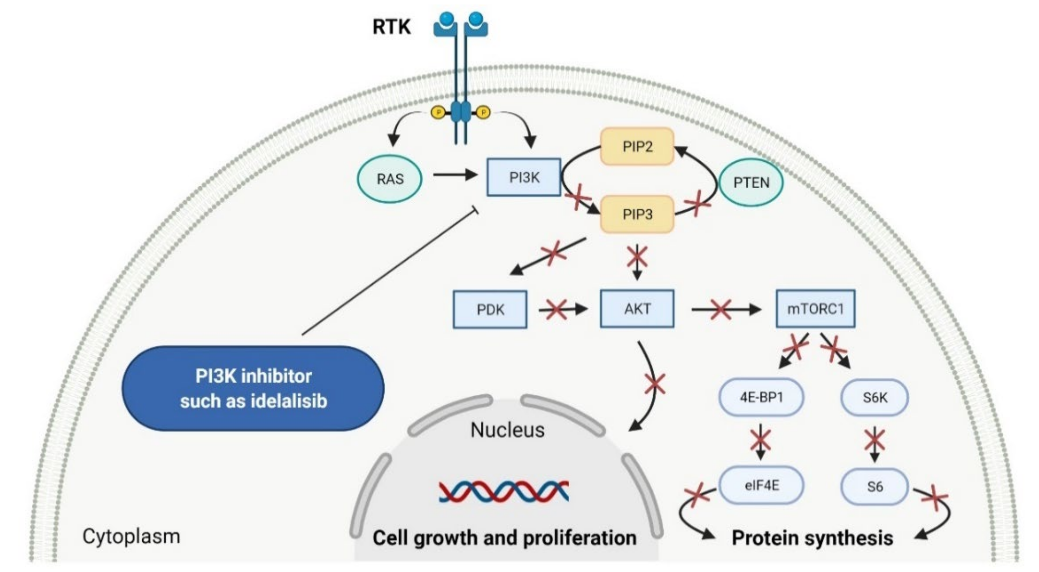 Cancers 14 00087 g003 Cancers 14 00087 g003