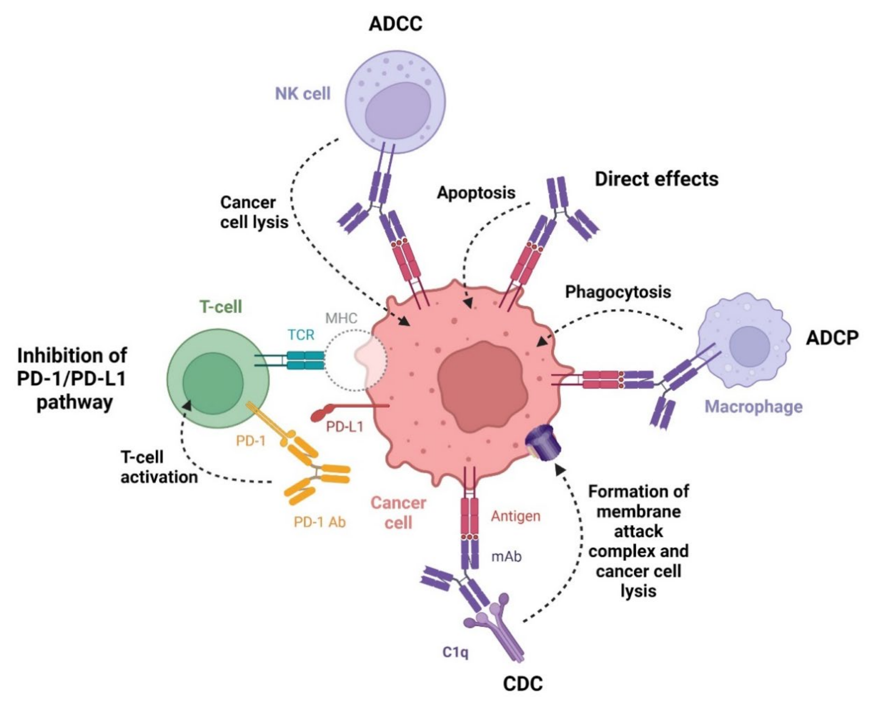 Cancers 14 00087 g009 Cancers 14 00087 g009