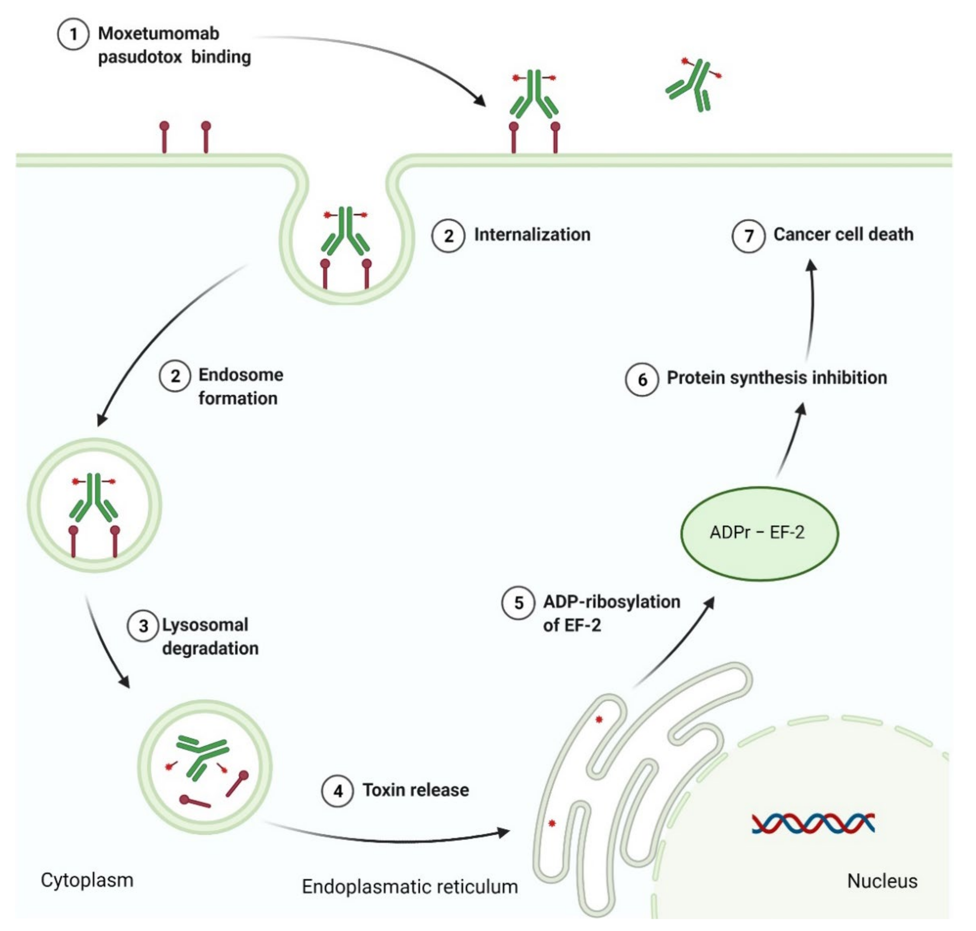 Cancers 14 00087 g012 Cancers 14 00087 g012