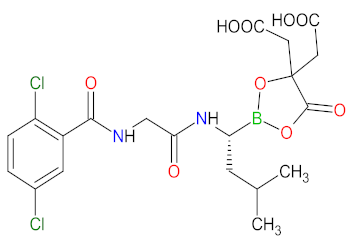 Cancers 14 00087 i022 Cancers 14 00087 i022
