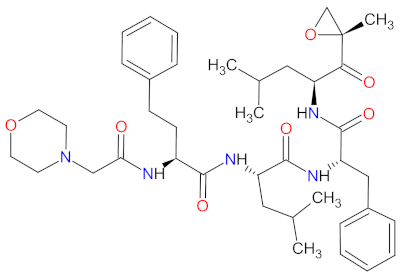 Cancers 14 00087 i024 Cancers 14 00087 i024