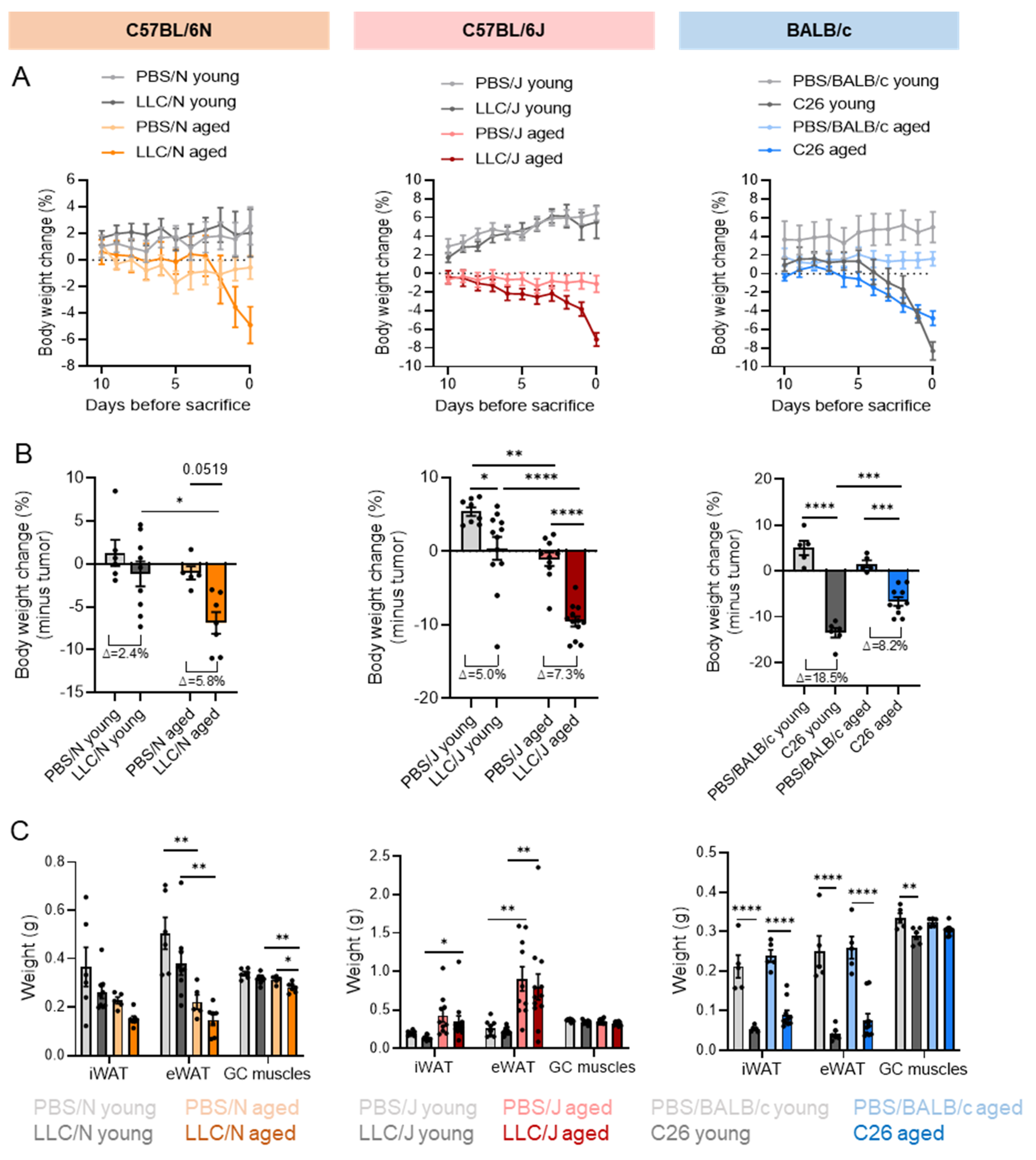 Cancers 14 00090 g002
