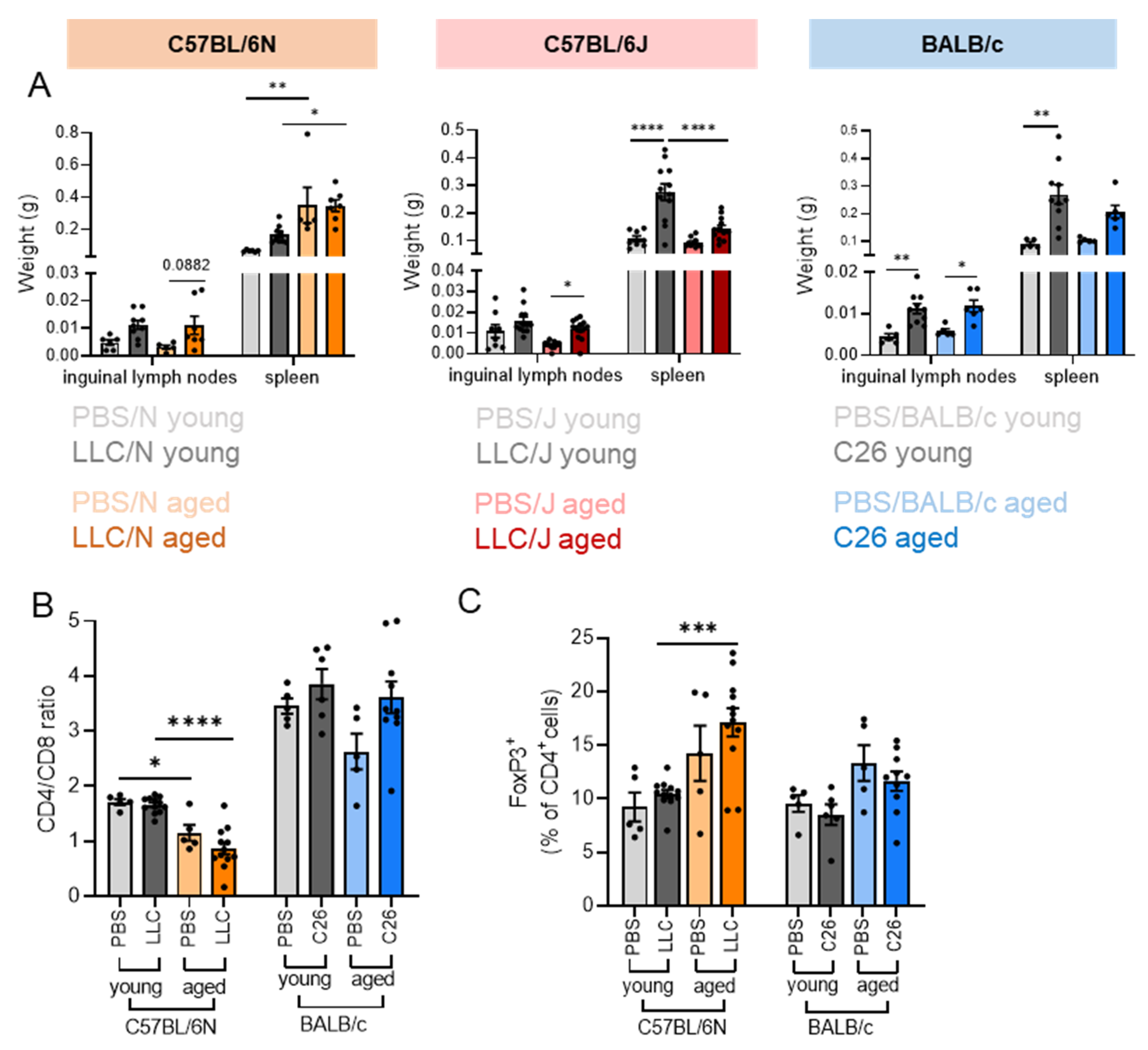 Cancers 14 00090 g003