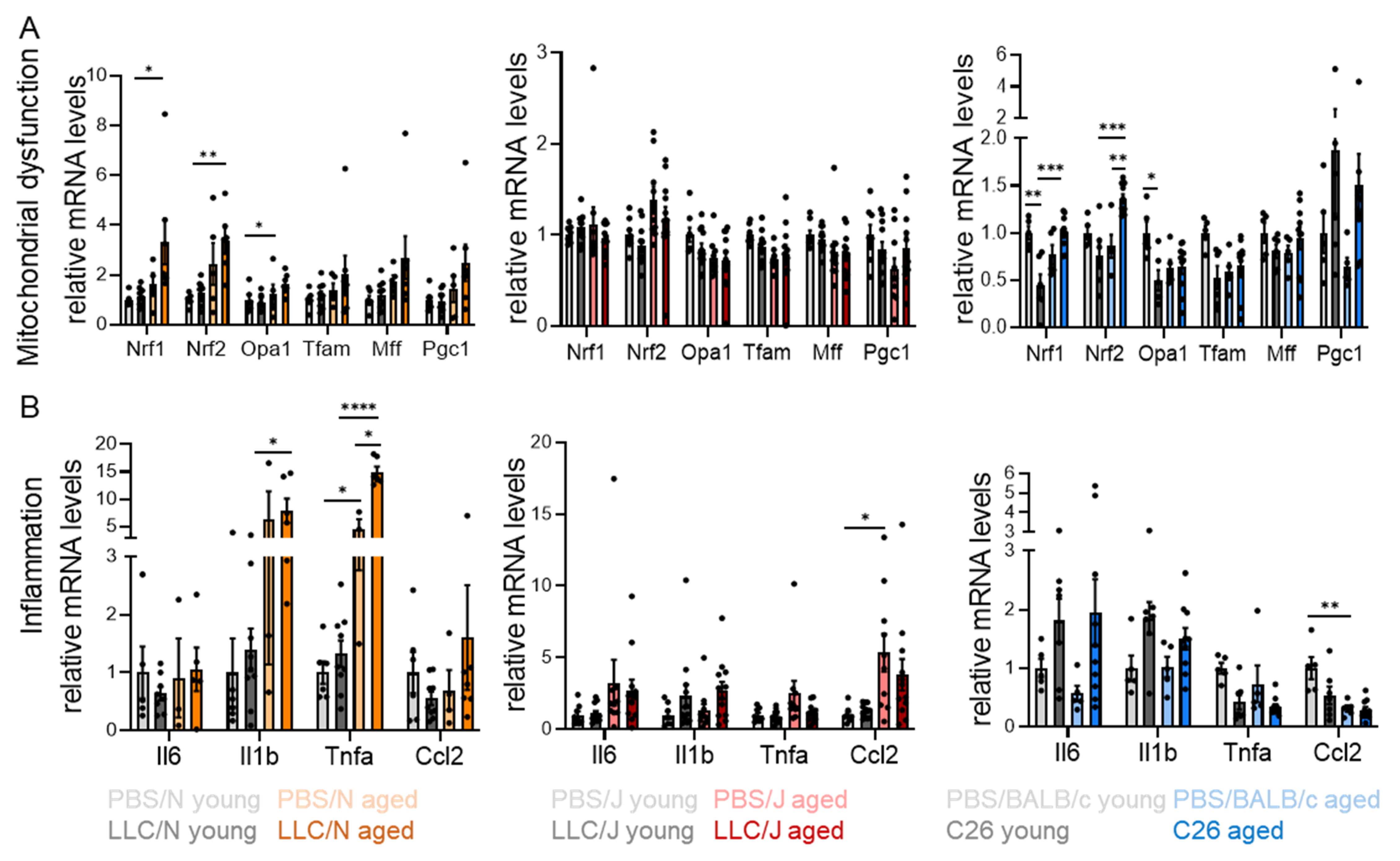 Cancers 14 00090 g005