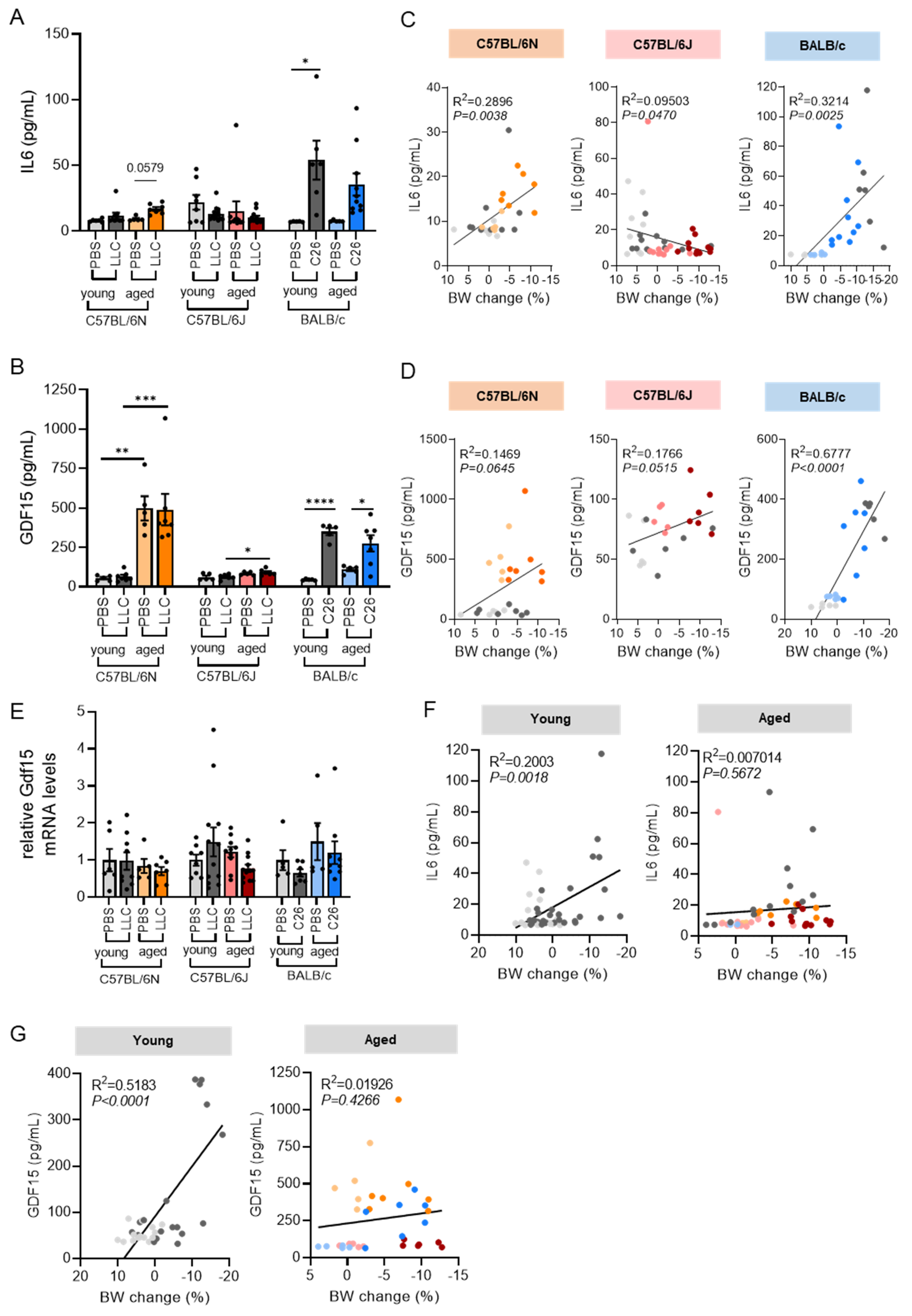 Cancers 14 00090 g006