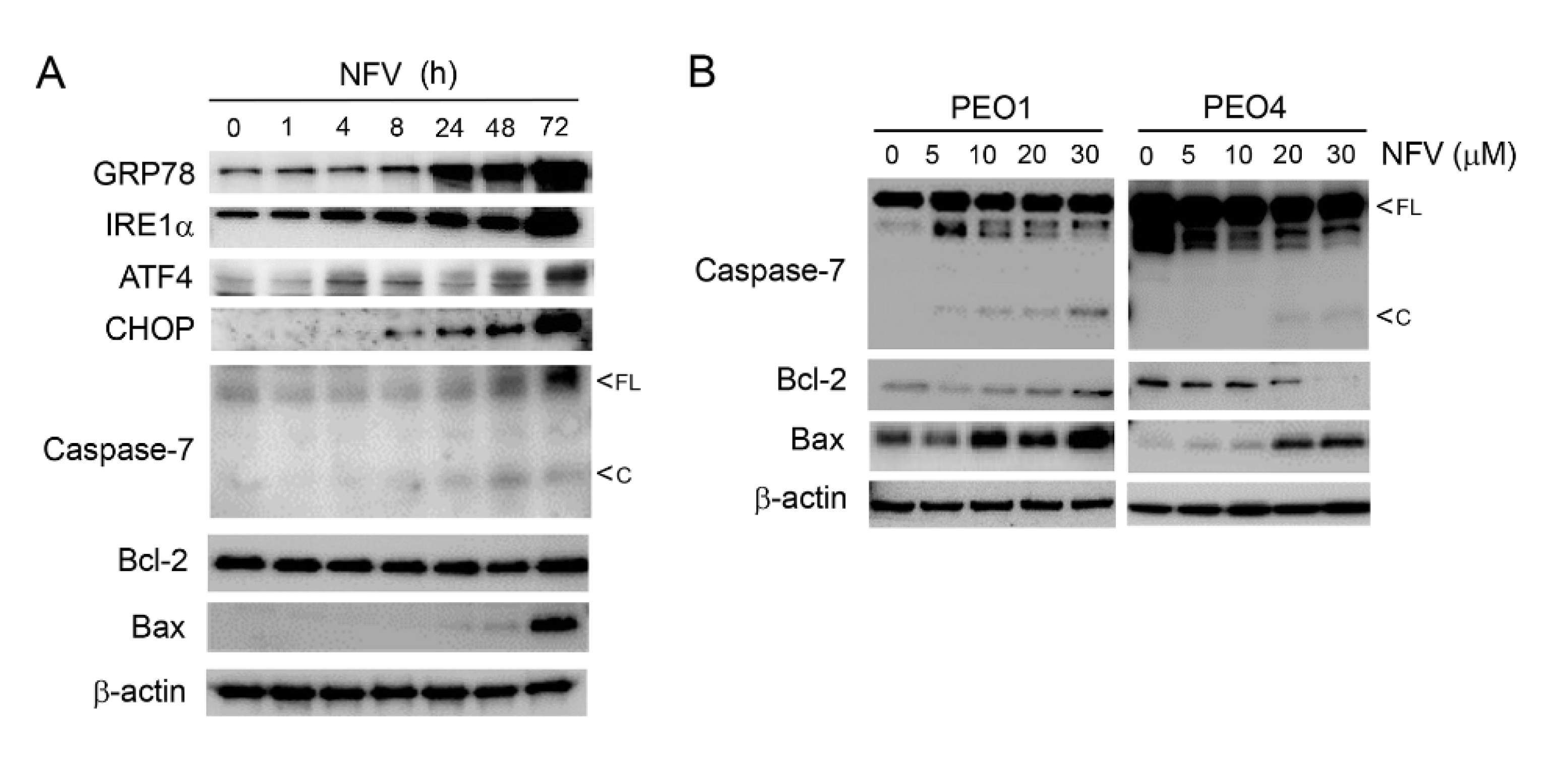 Cancers 14 00099 g003 Cancers 14 00099 g003