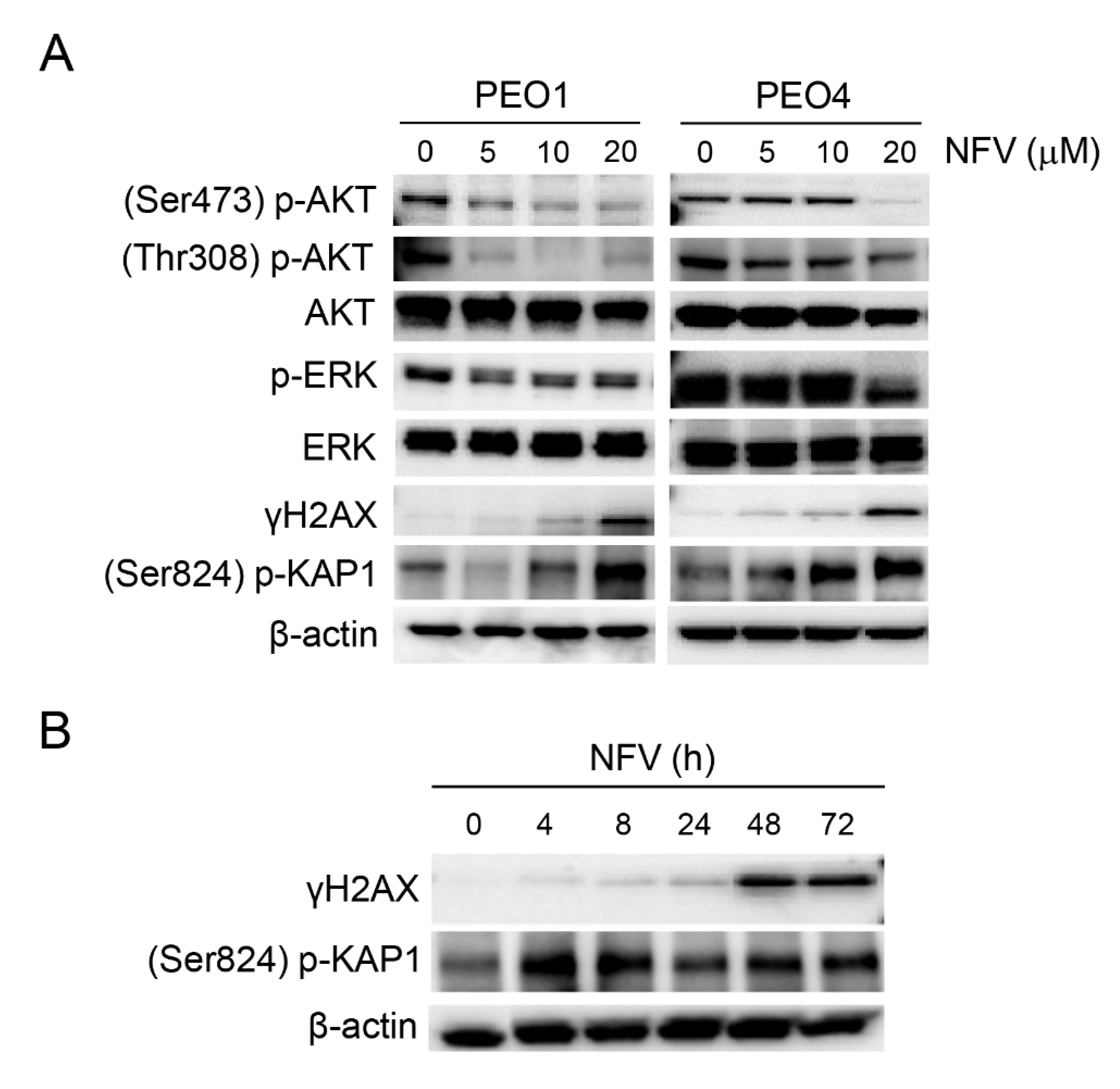 Cancers 14 00099 g005 Cancers 14 00099 g005