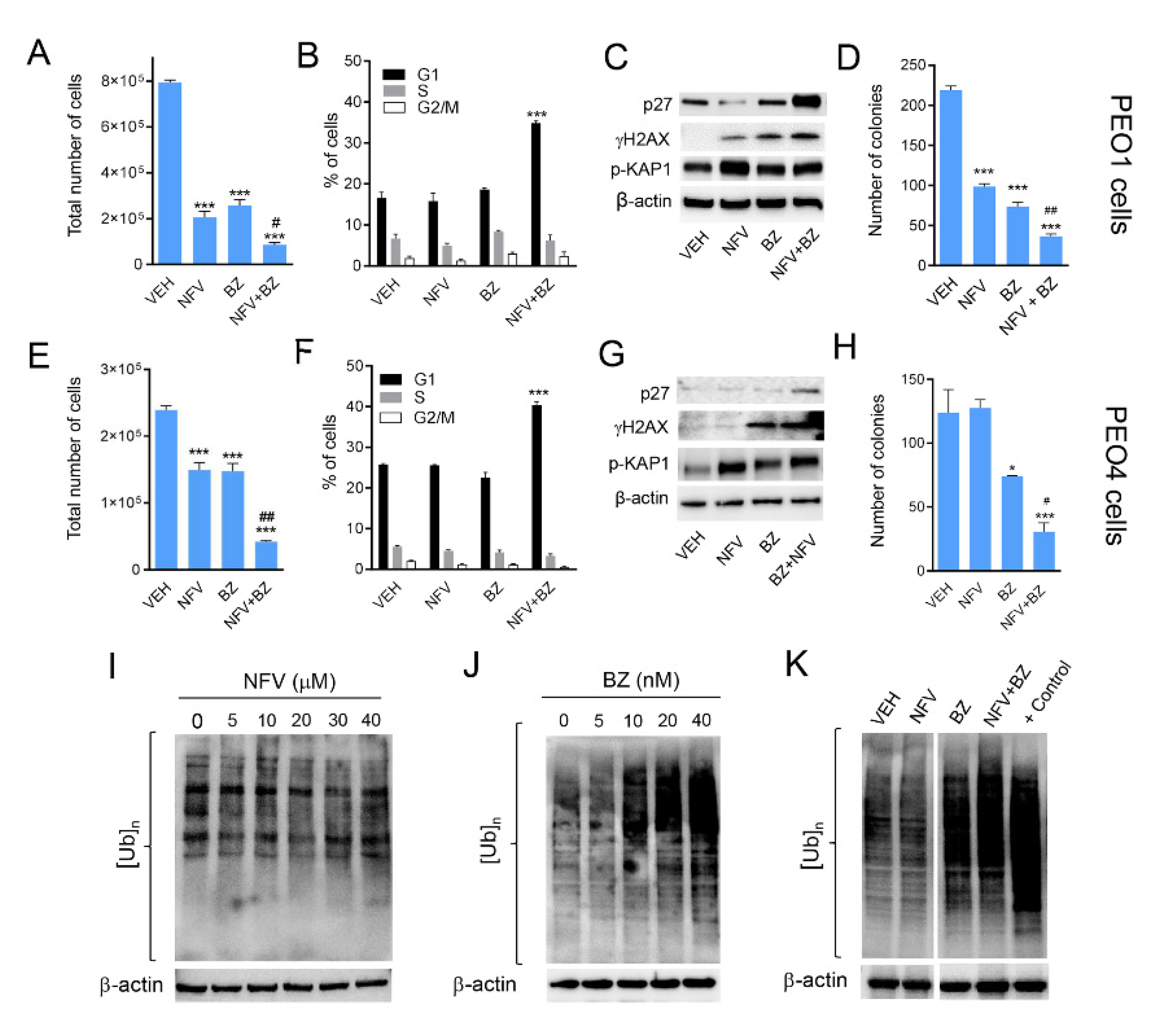 Cancers 14 00099 g006 Cancers 14 00099 g006