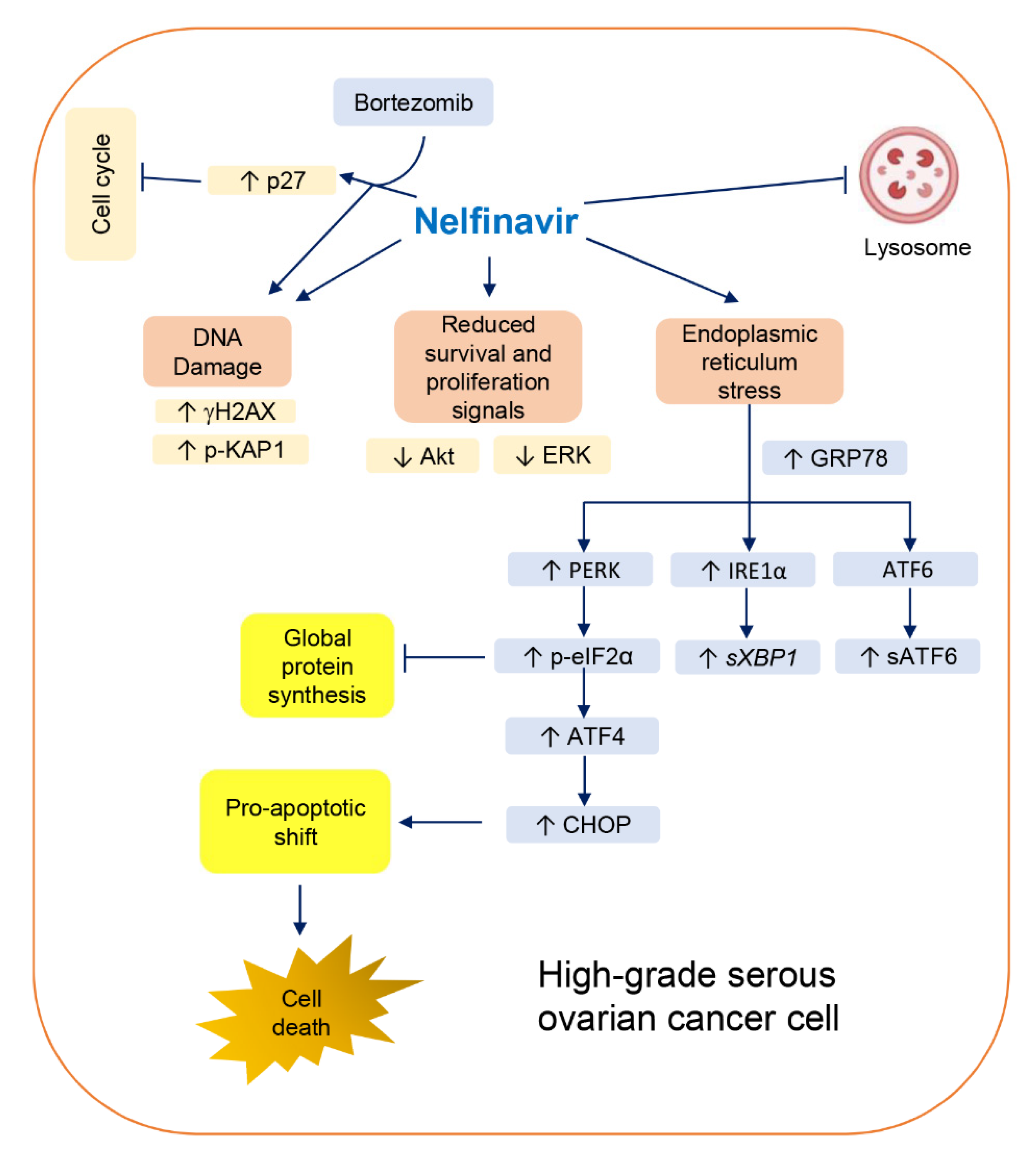 Cancers 14 00099 g007 Cancers 14 00099 g007