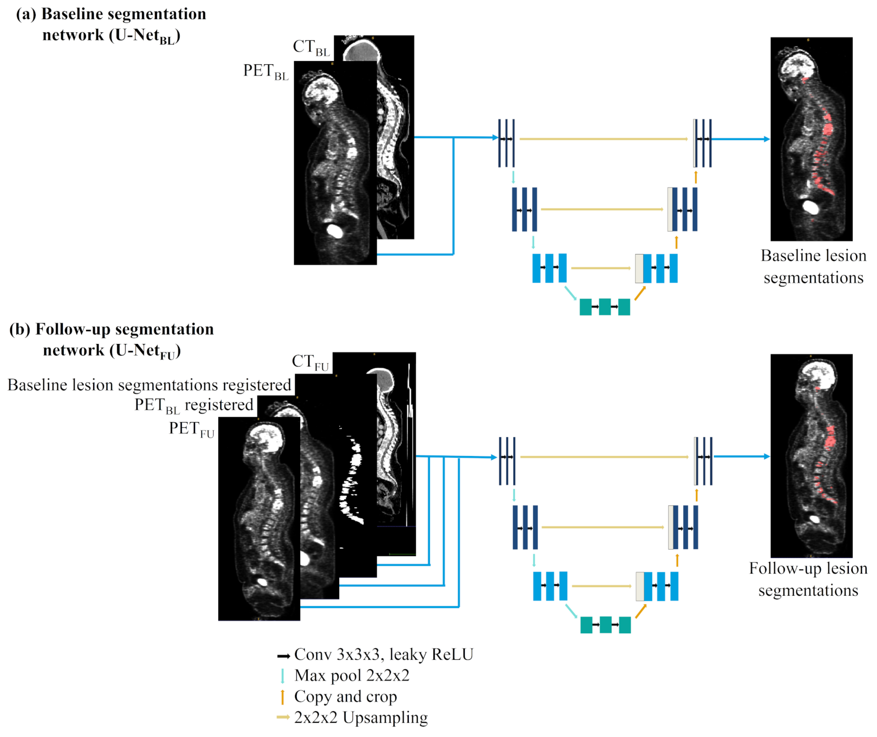 Cancers 14 00101 g001