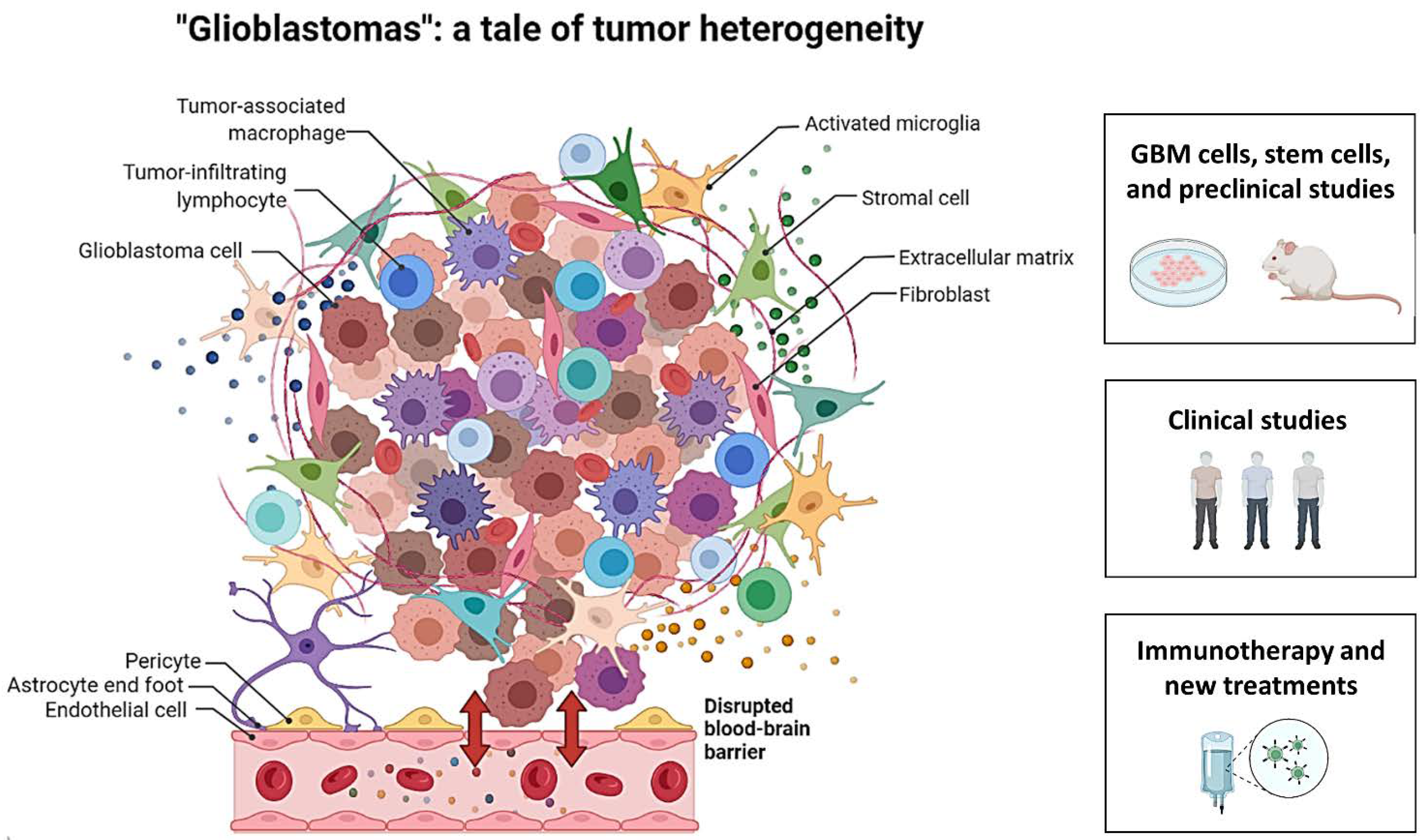 Cancers 14 00104 g001