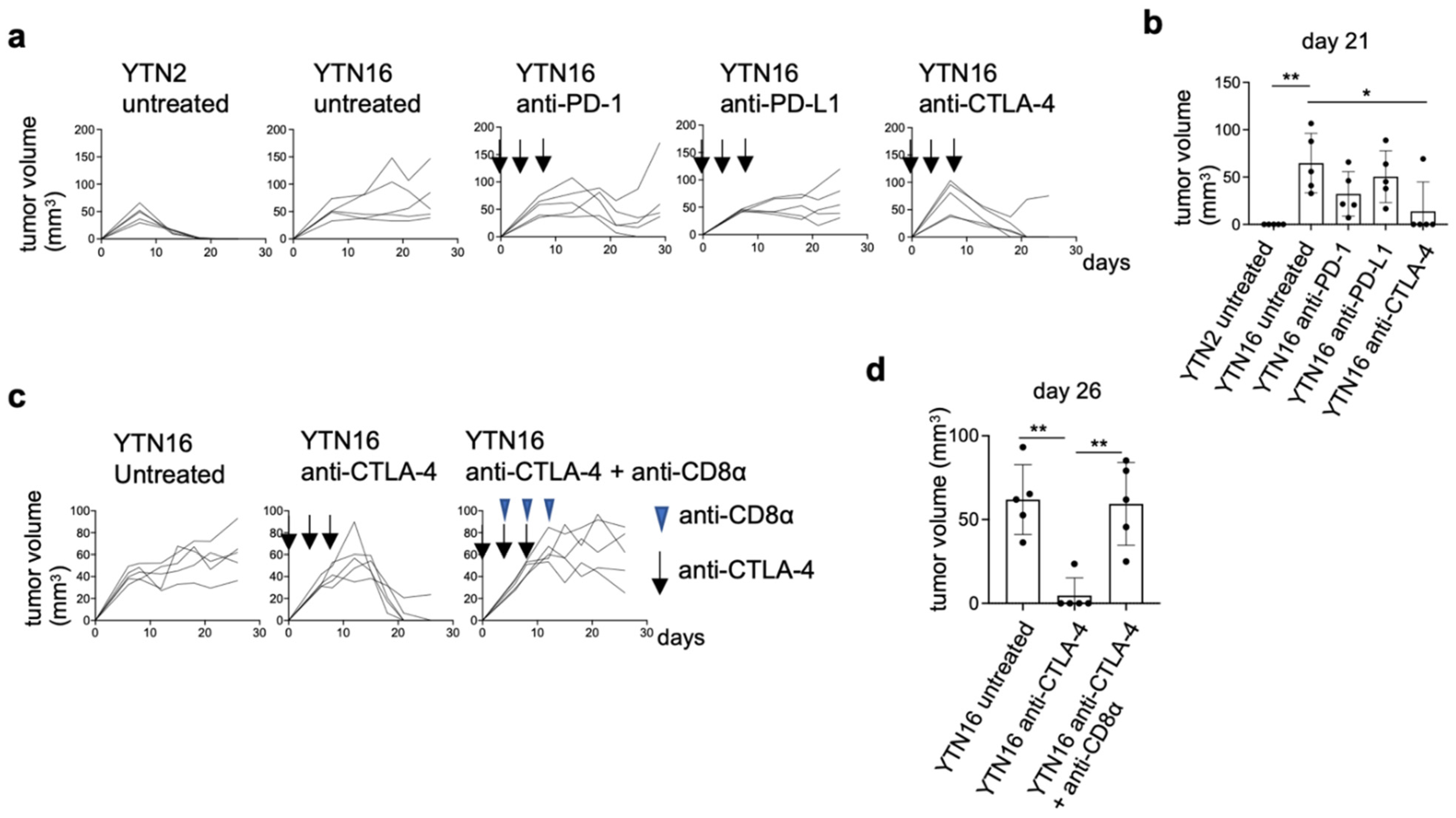 Cancers 14 00106 g001