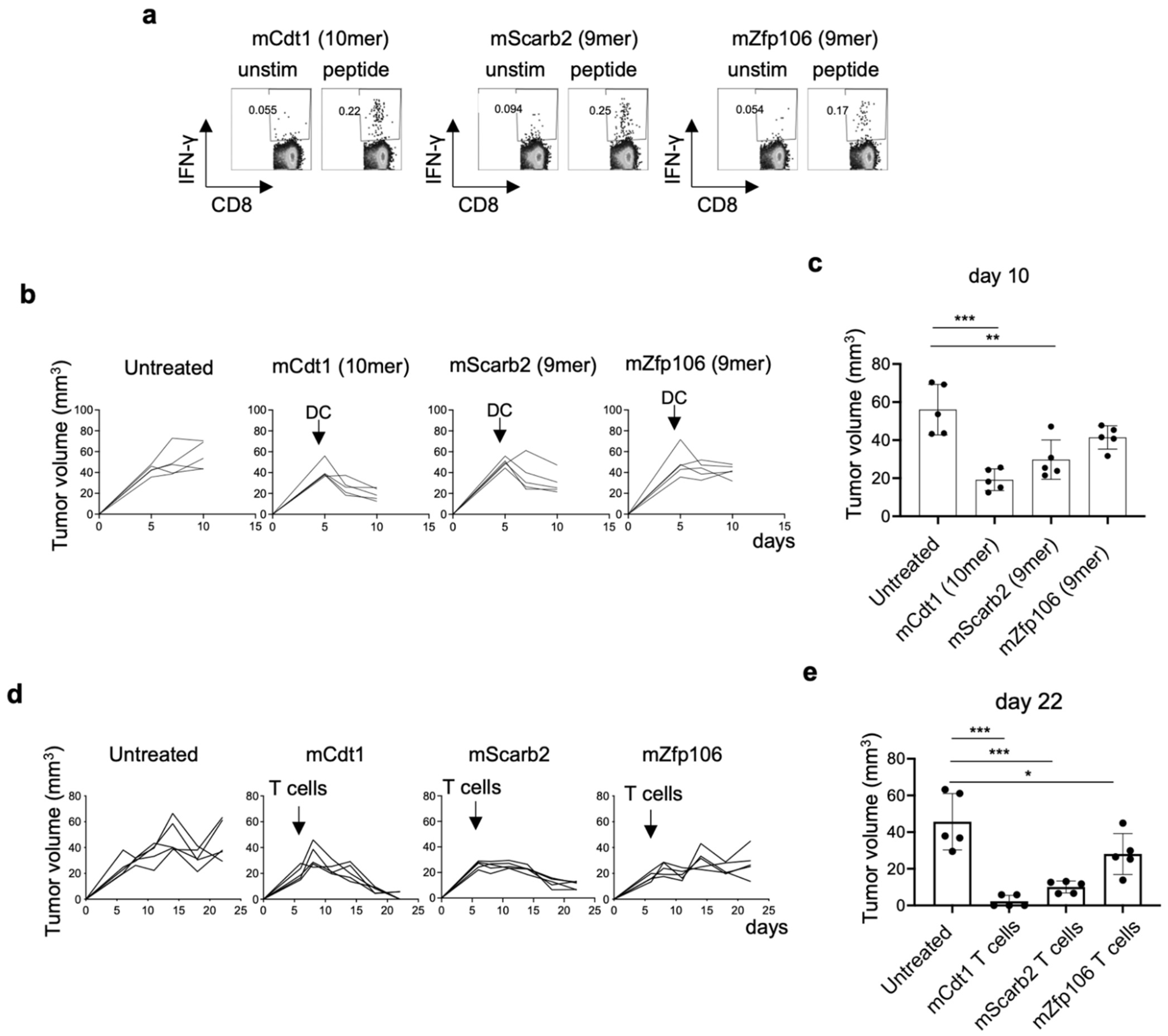 Cancers 14 00106 g007