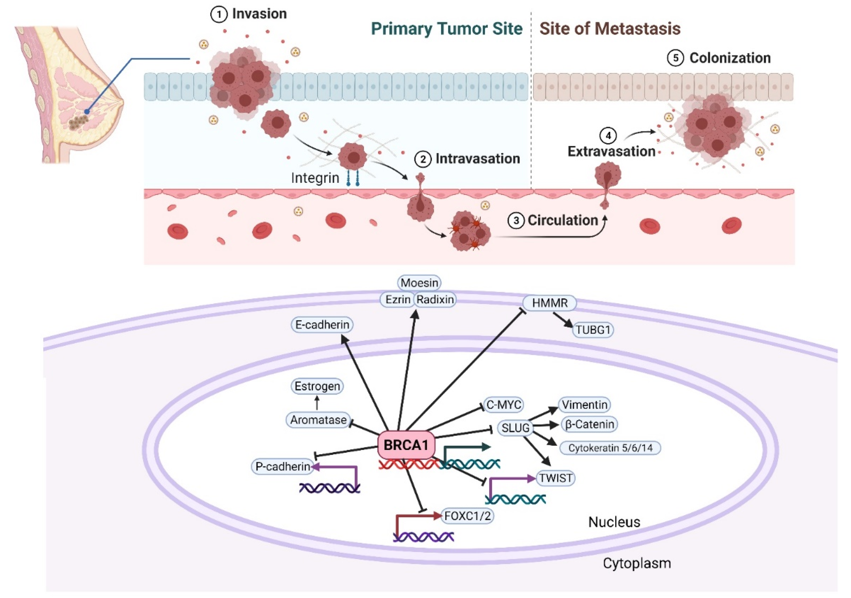 Cancers 14 00108 g002 Cancers 14 00108 g002