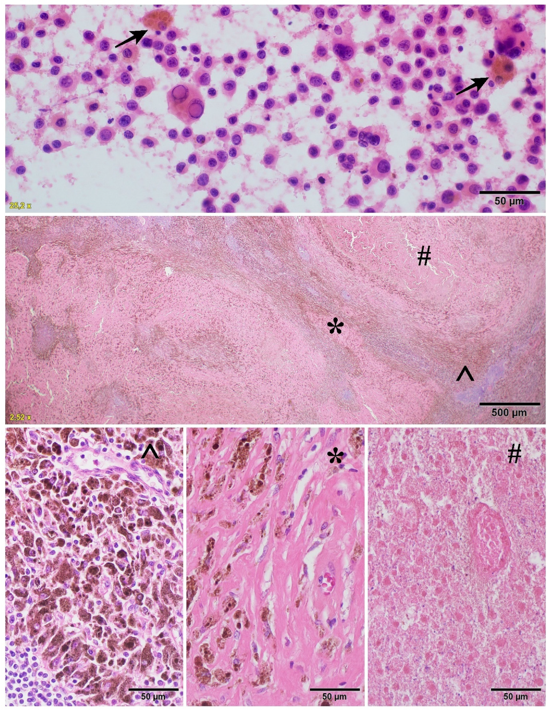 Cancers 14 00110 g003