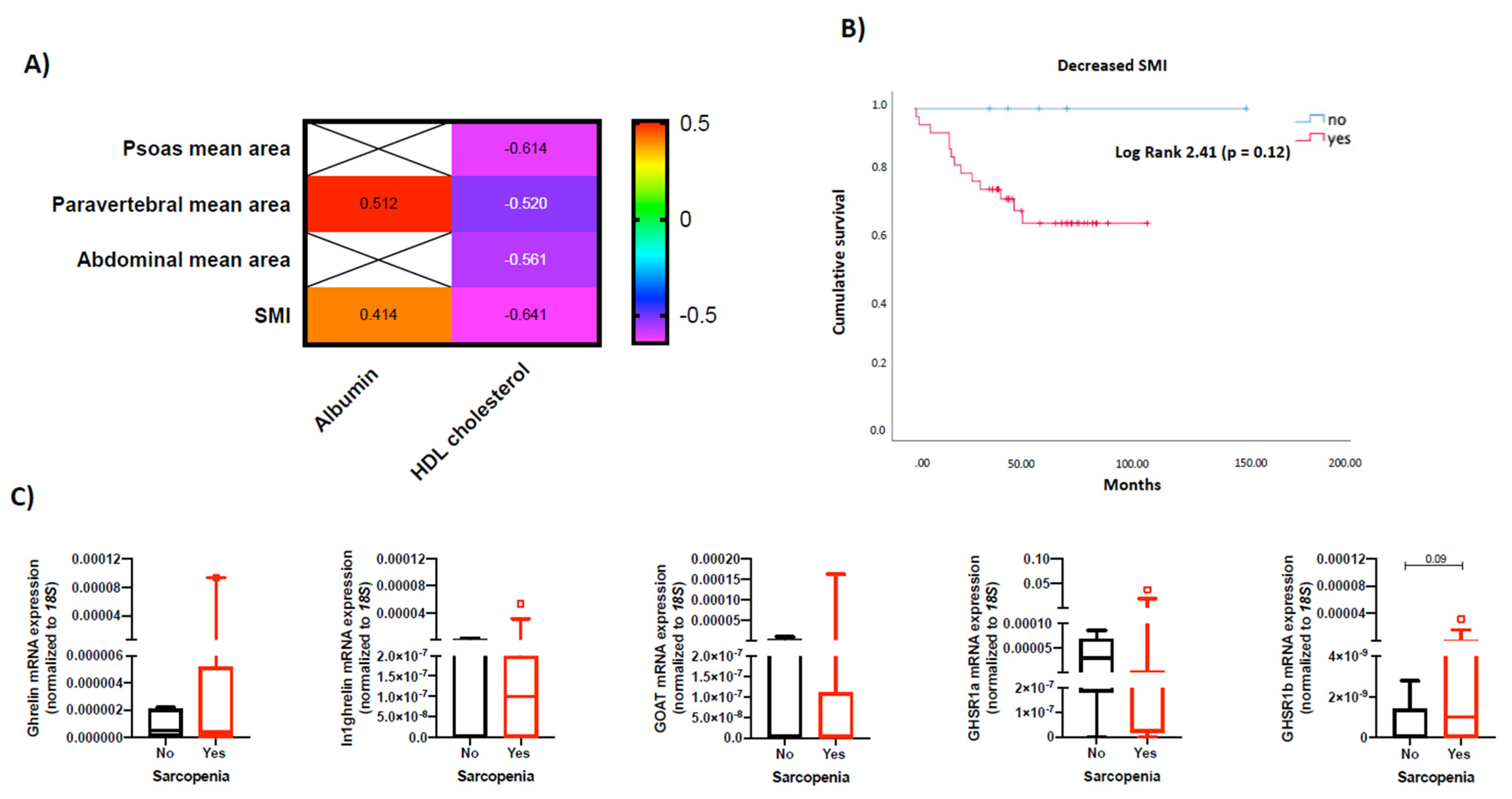 Cancers 14 00111 g004 Cancers 14 00111 g004