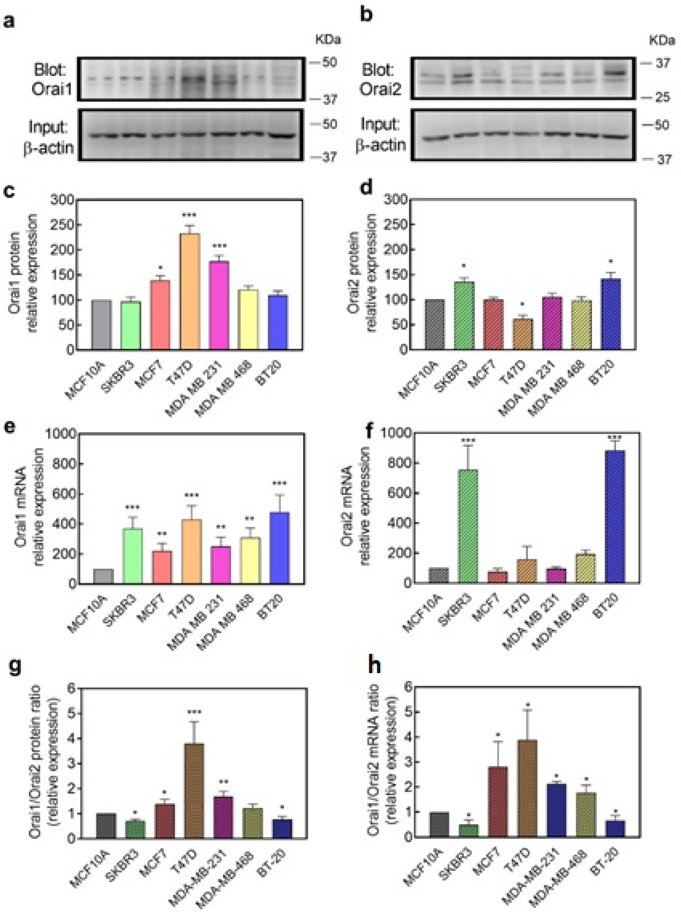Cancers 14 00114 g001 550