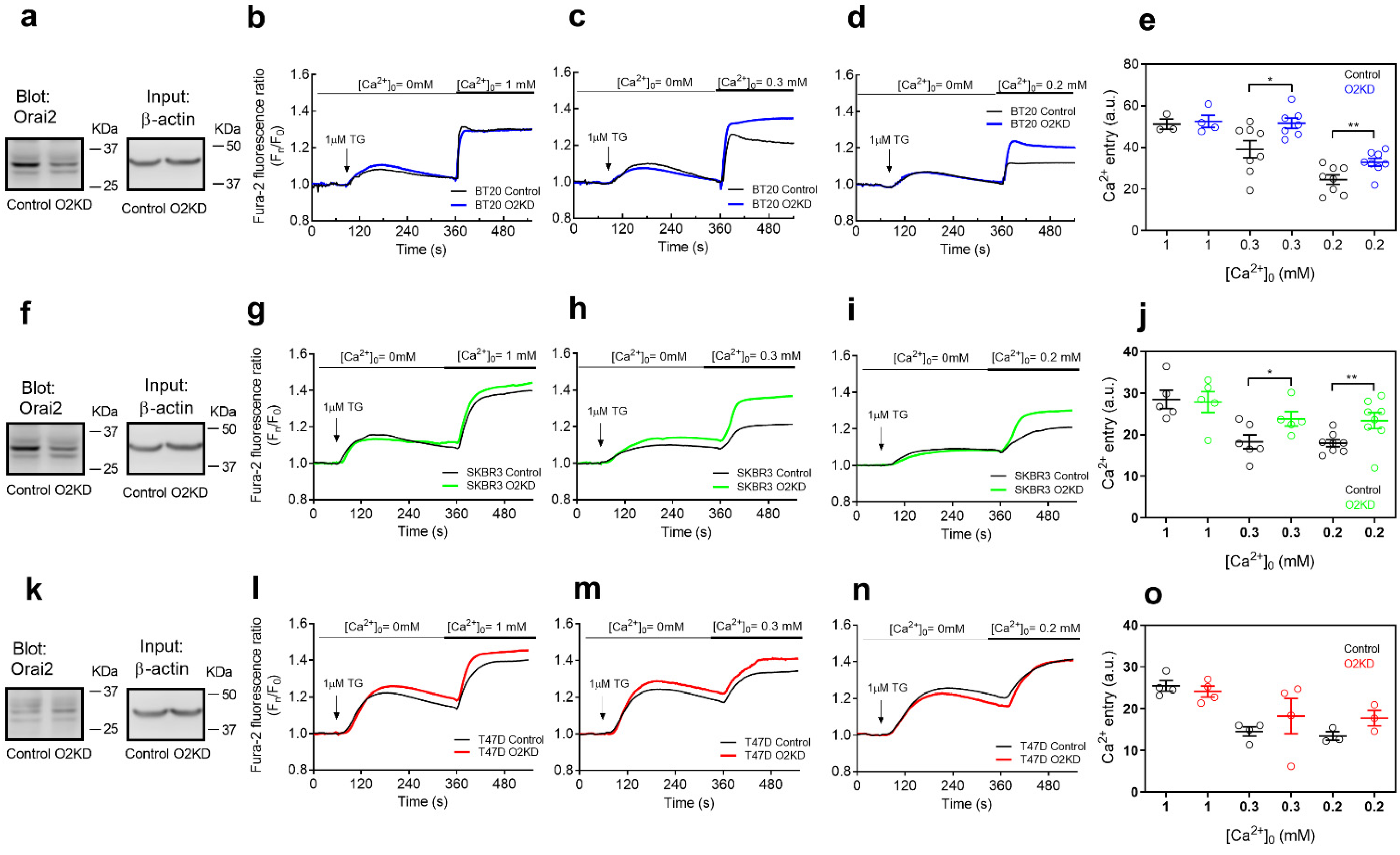 Cancers 14 00114 g002 550
