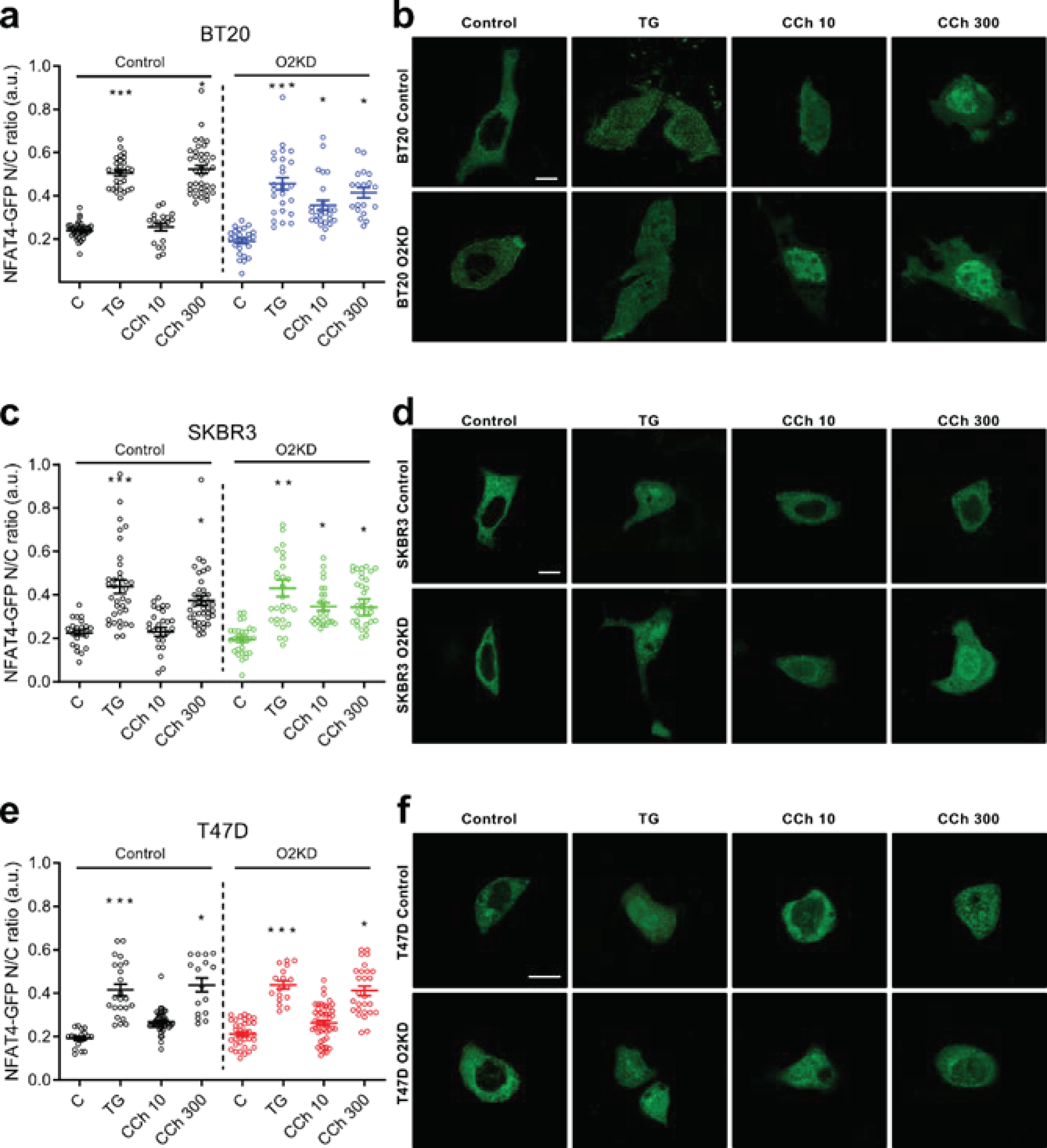 Cancers 14 00114 g005 550