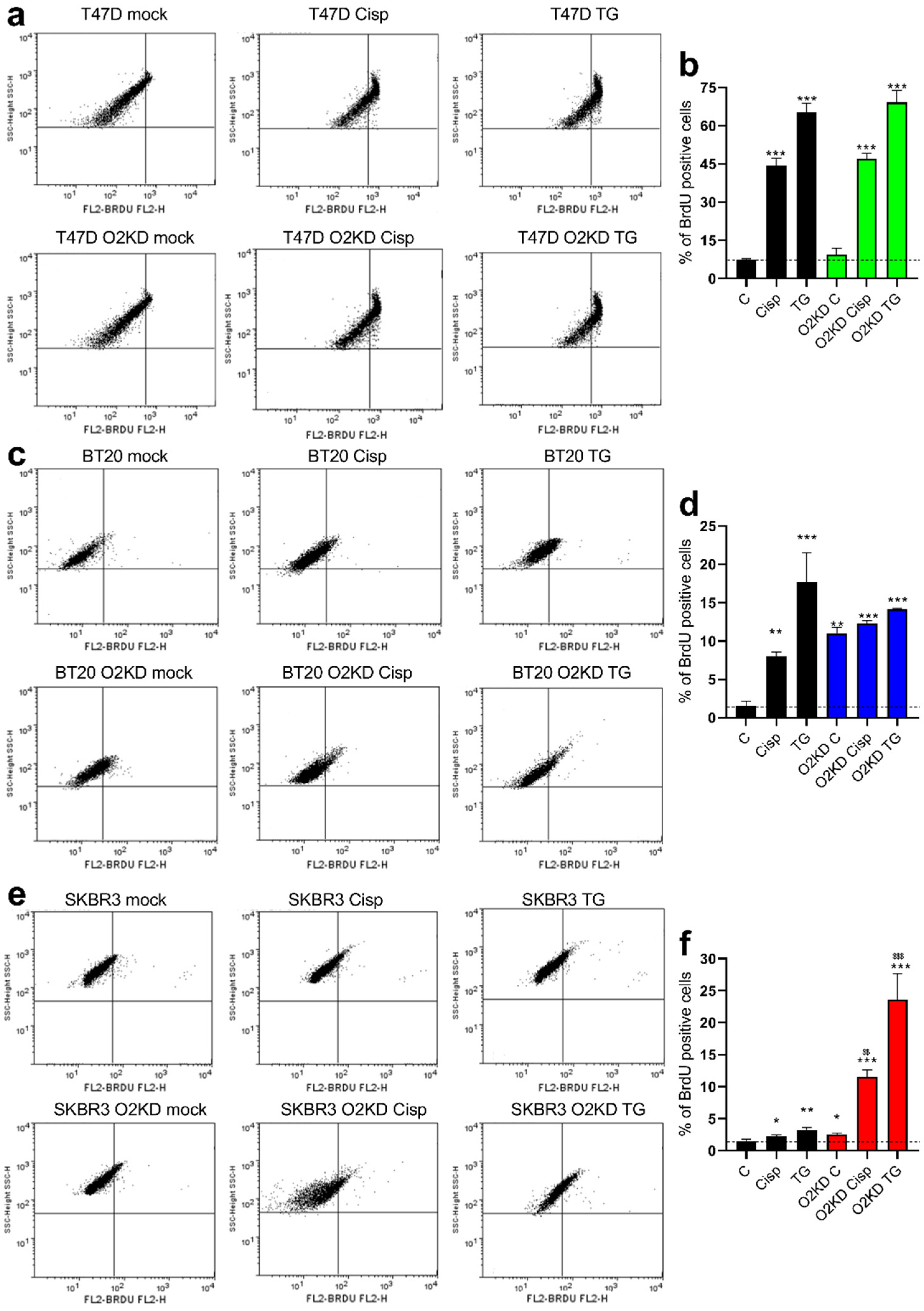 Cancers 14 00114 g007 550