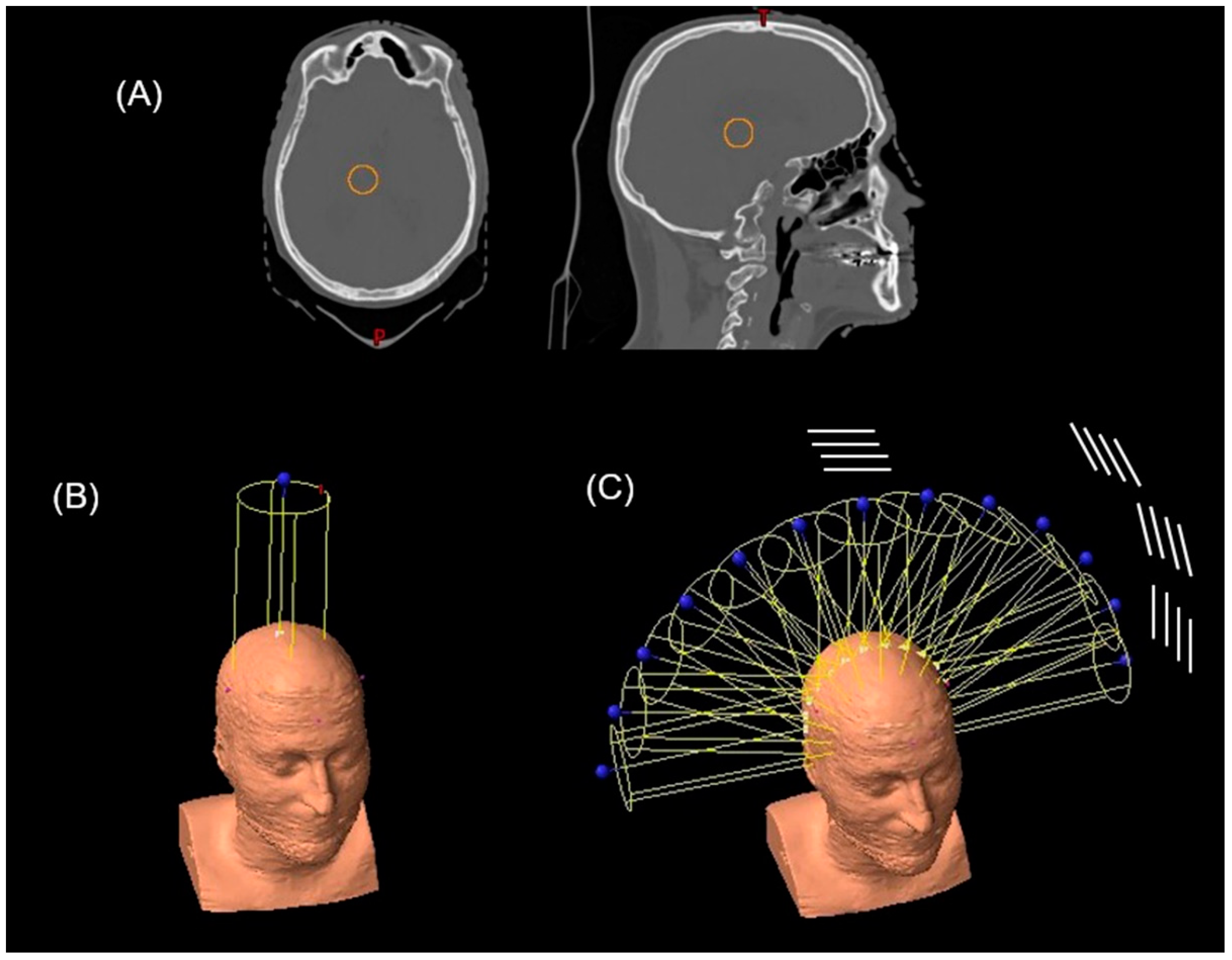 Cancers 14 00116 g001 550