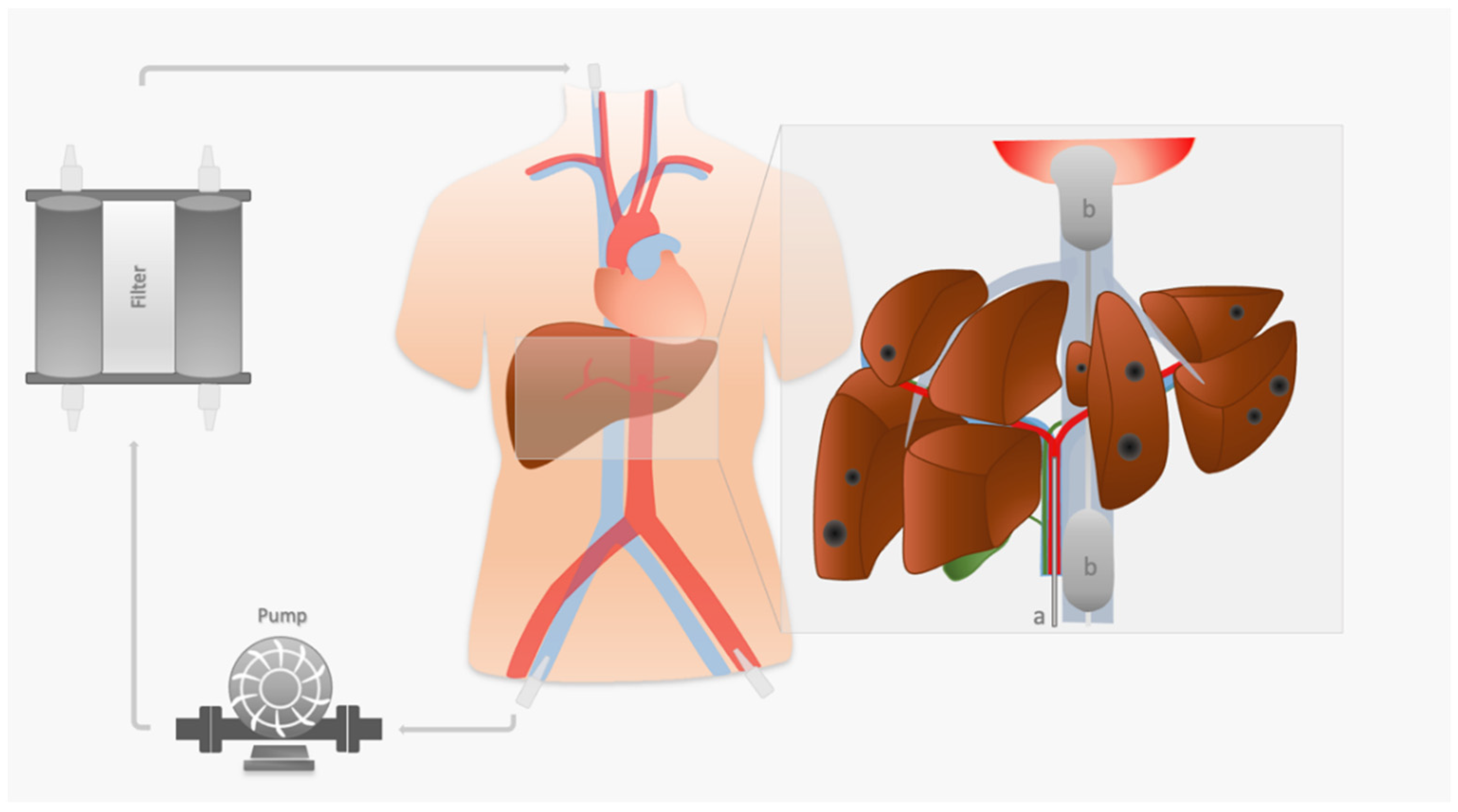 Cancers 14 00118 g001 Cancers 14 00118 g001