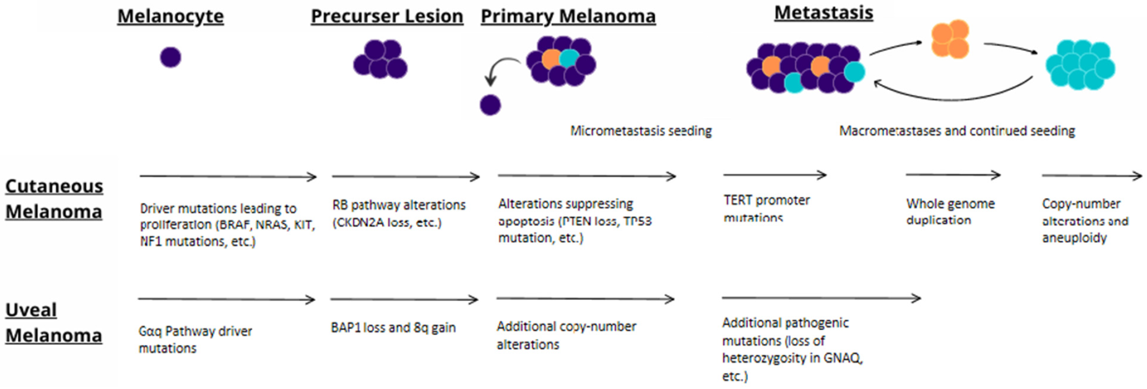 Cancers 14 00123 g002 Cancers 14 00123 g002