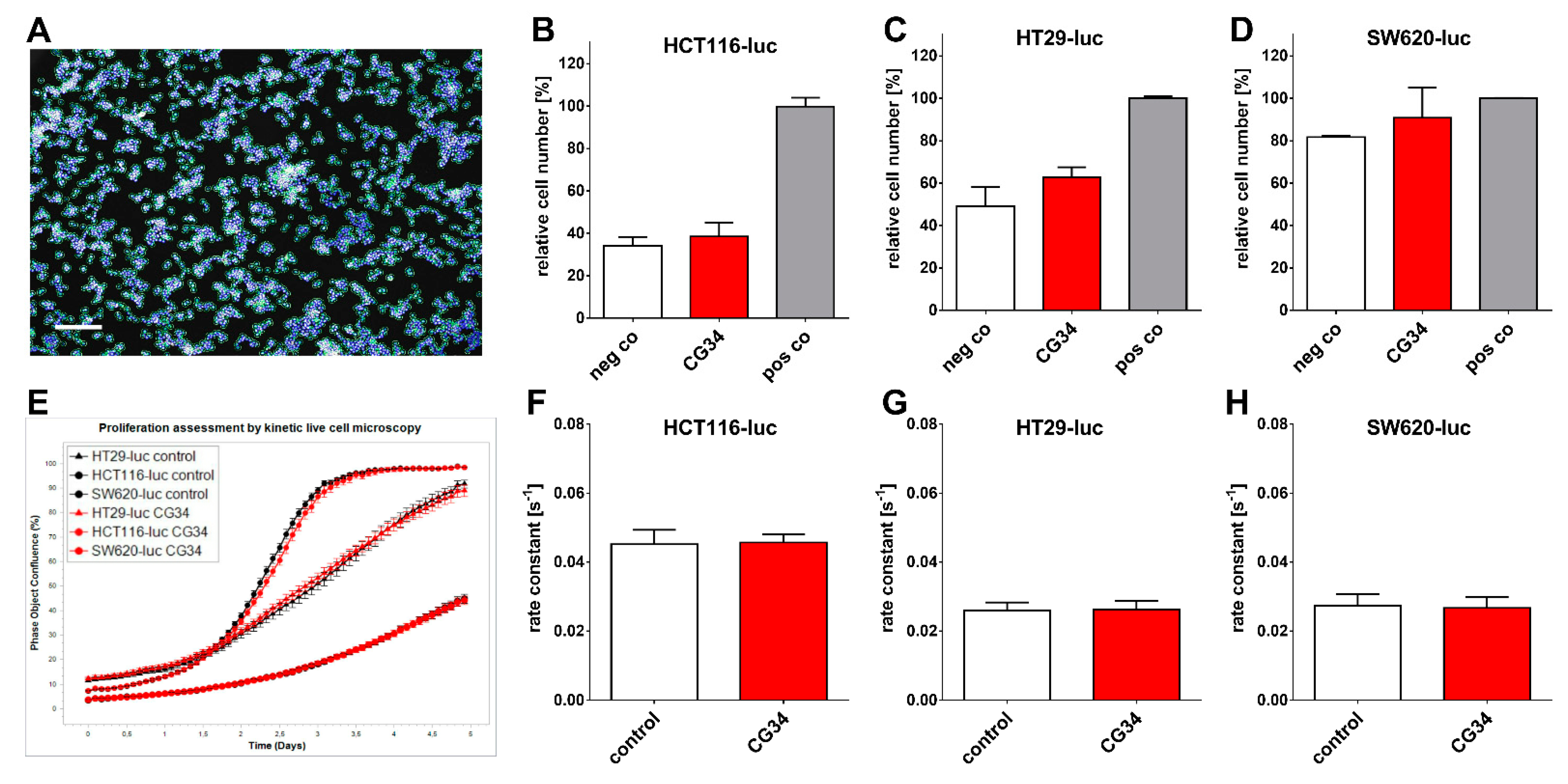 Cancers 14 00125 g003
