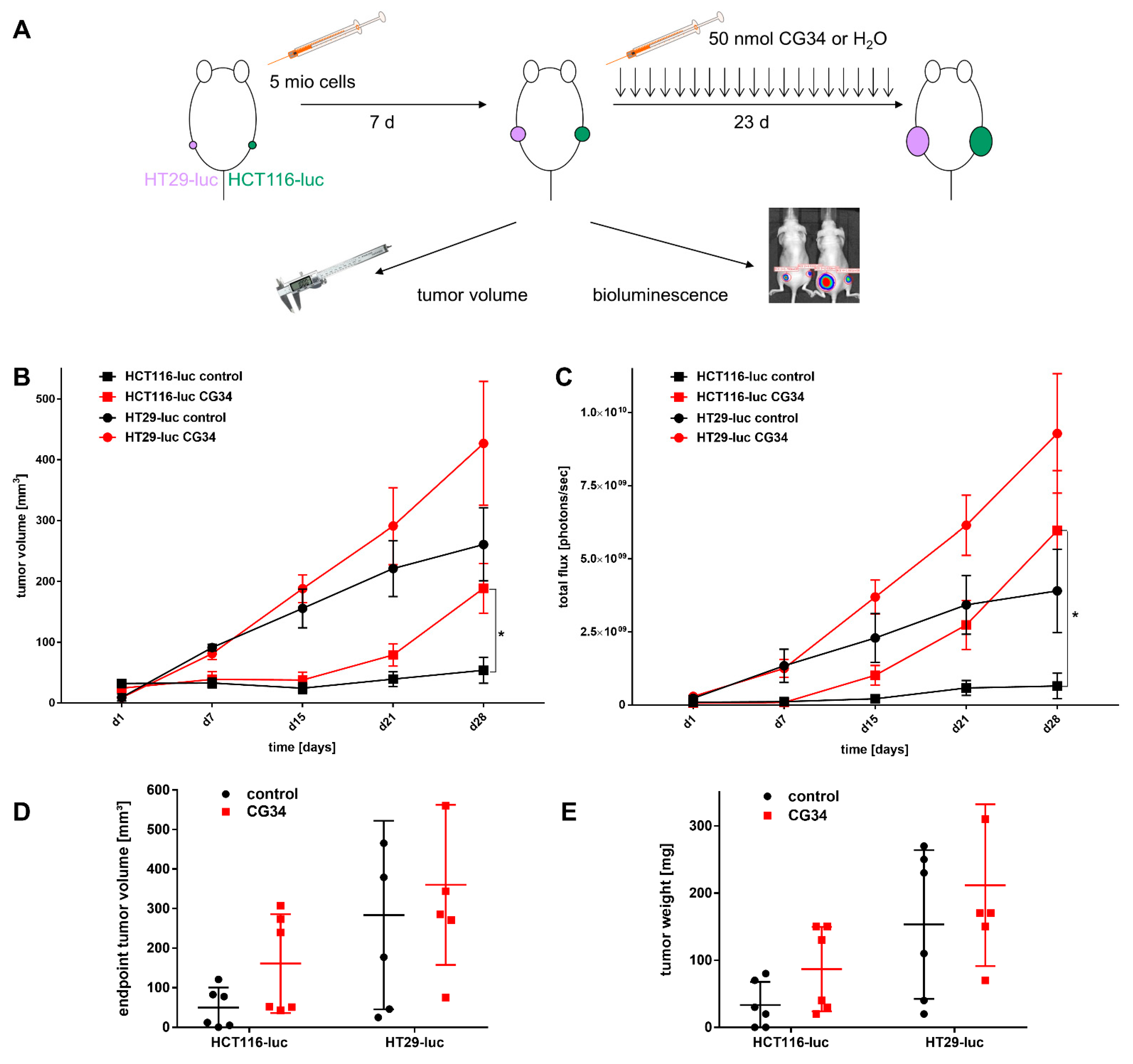 Cancers 14 00125 g005
