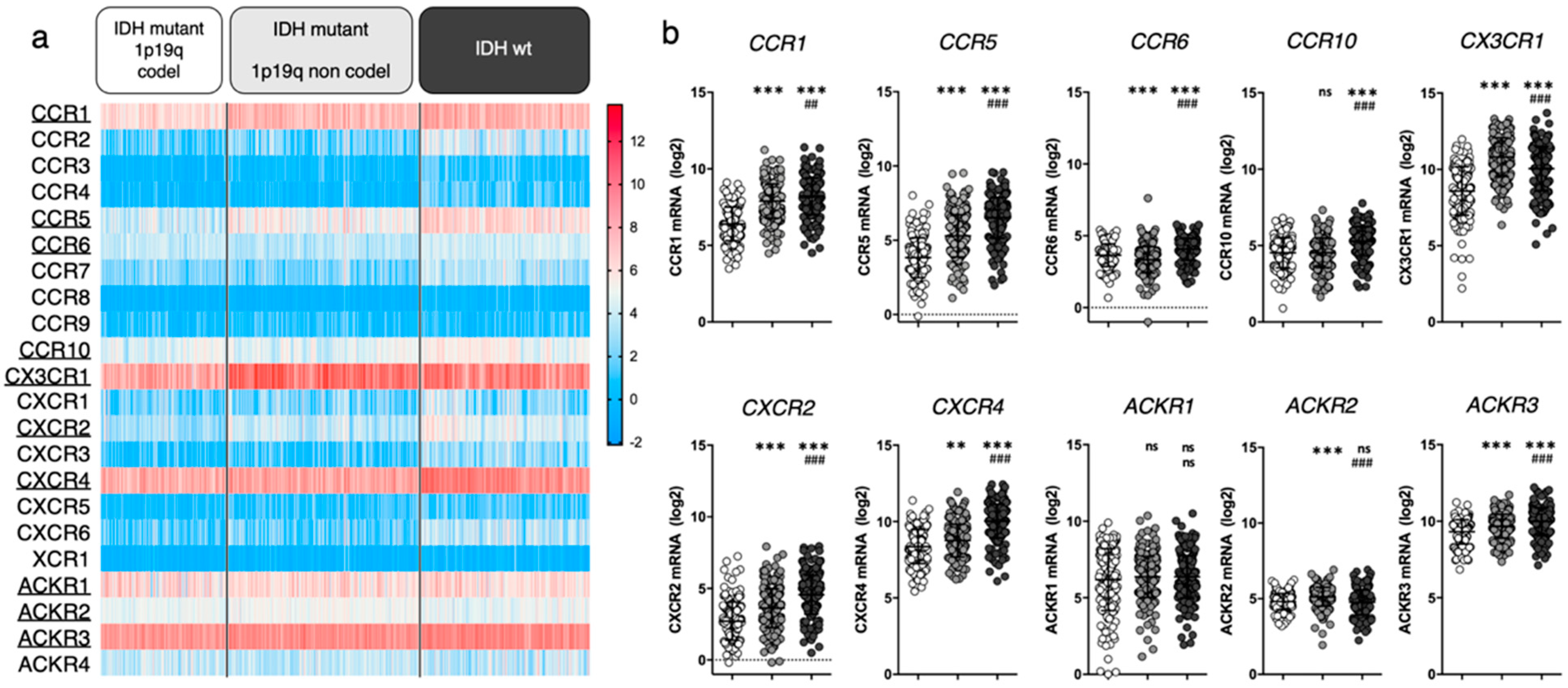 Cancers 14 00130 g001