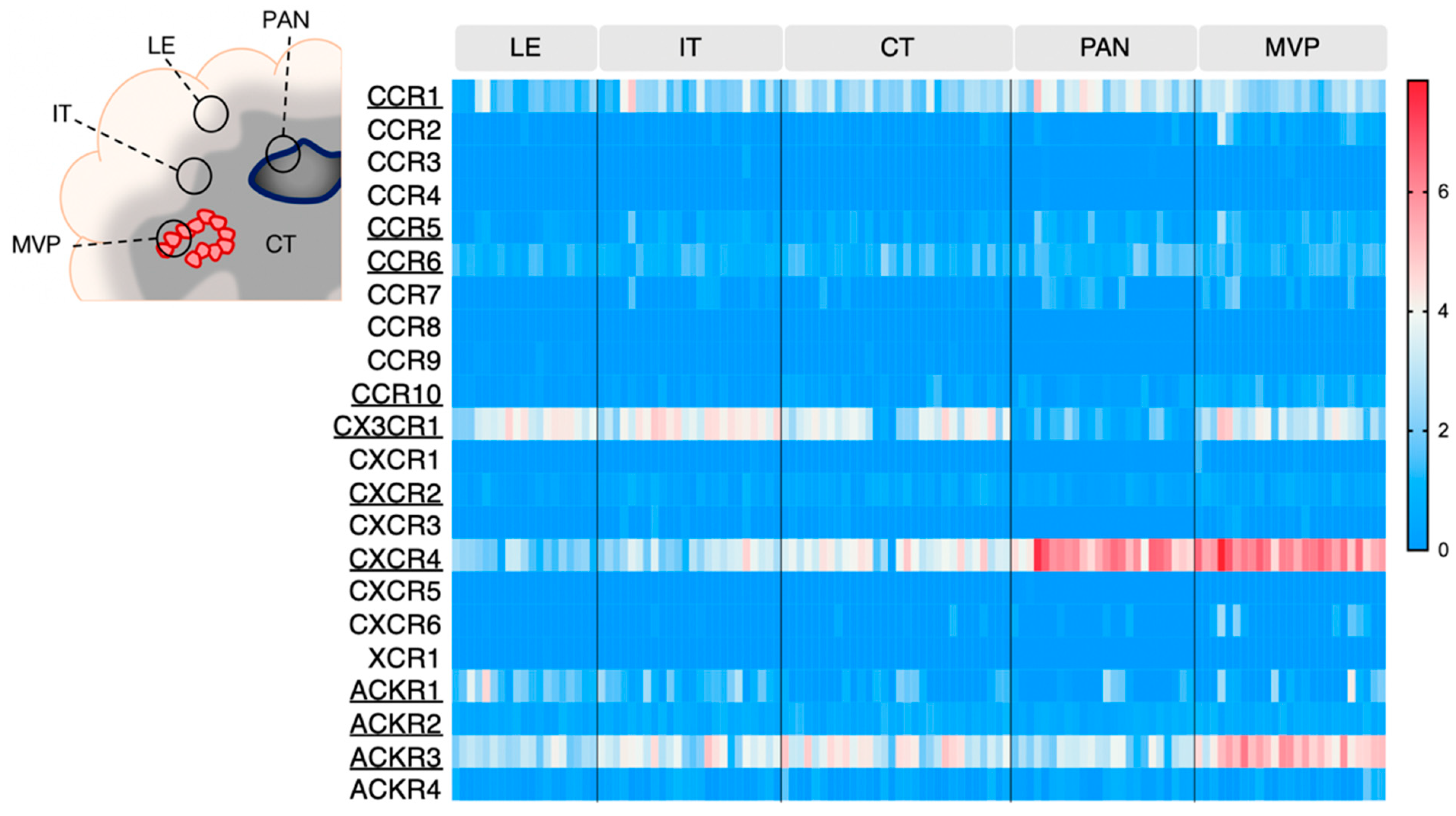 Cancers 14 00130 g002