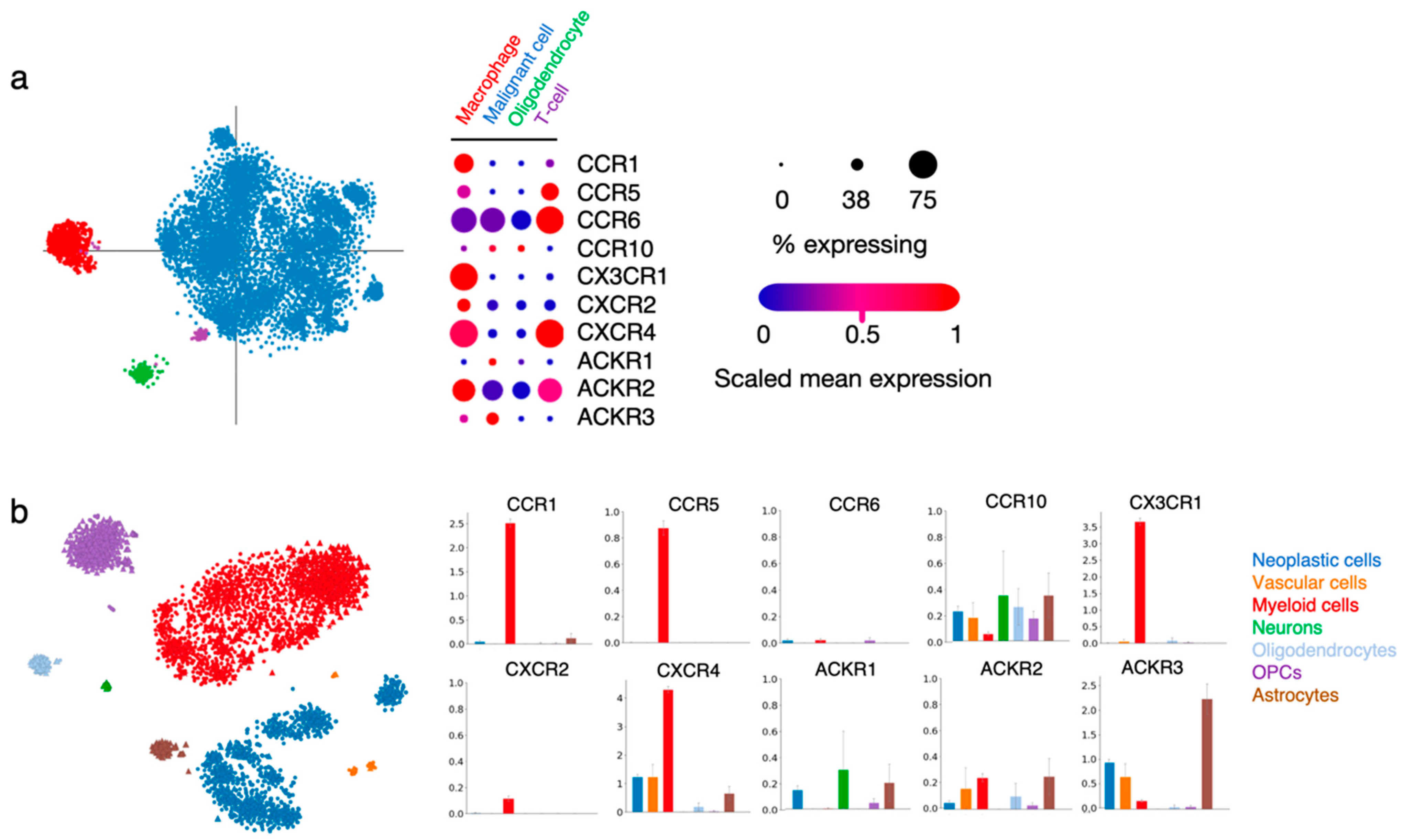 Cancers 14 00130 g003