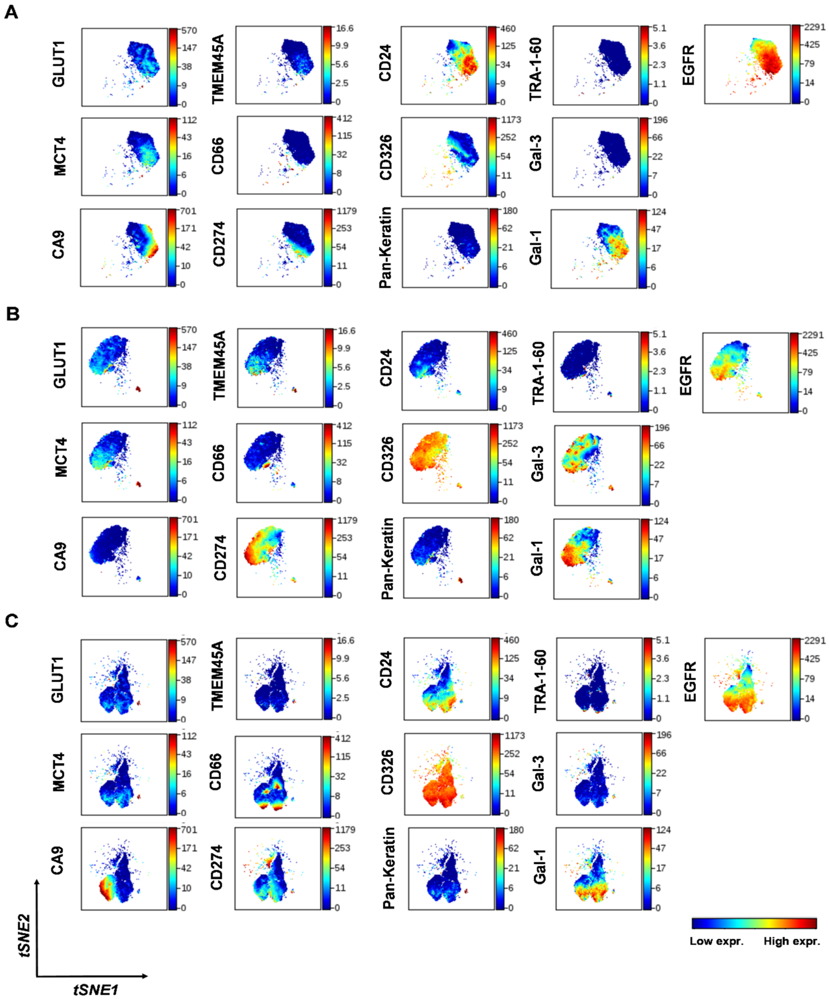 Cancers 14 00144 g002