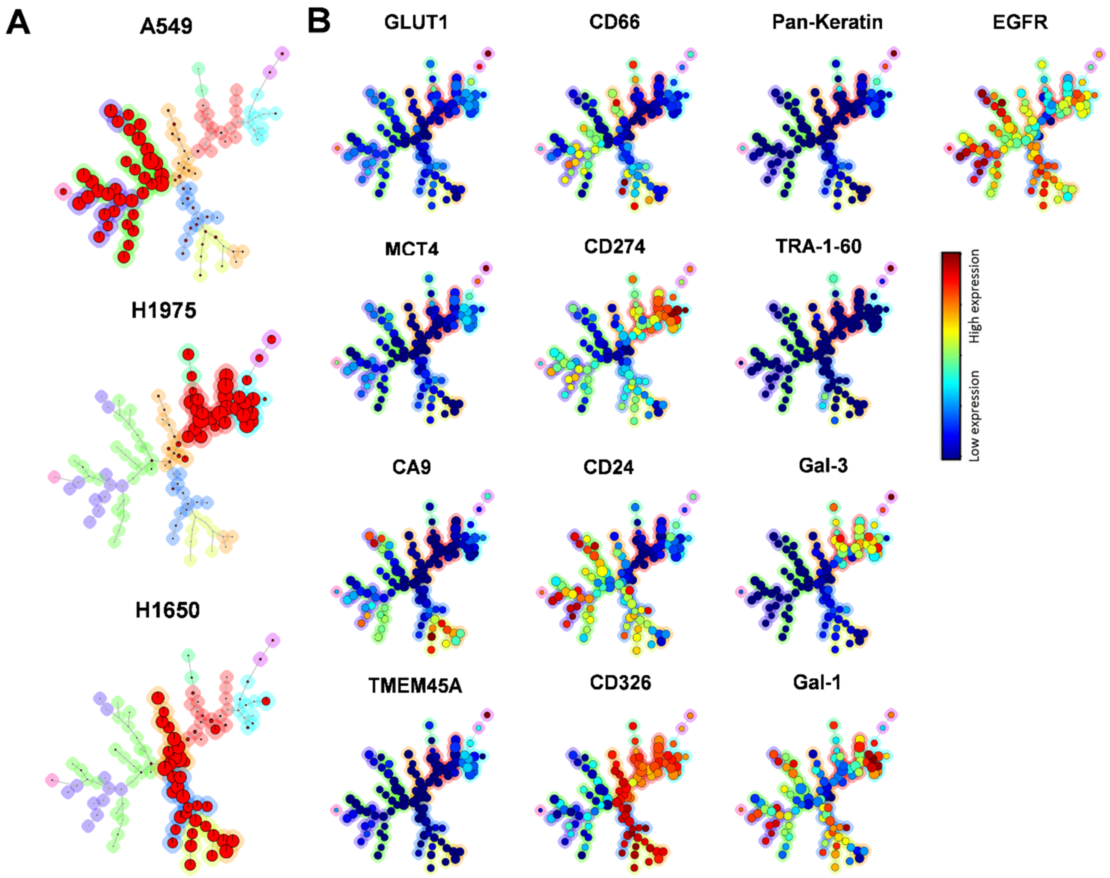 Cancers 14 00144 g004