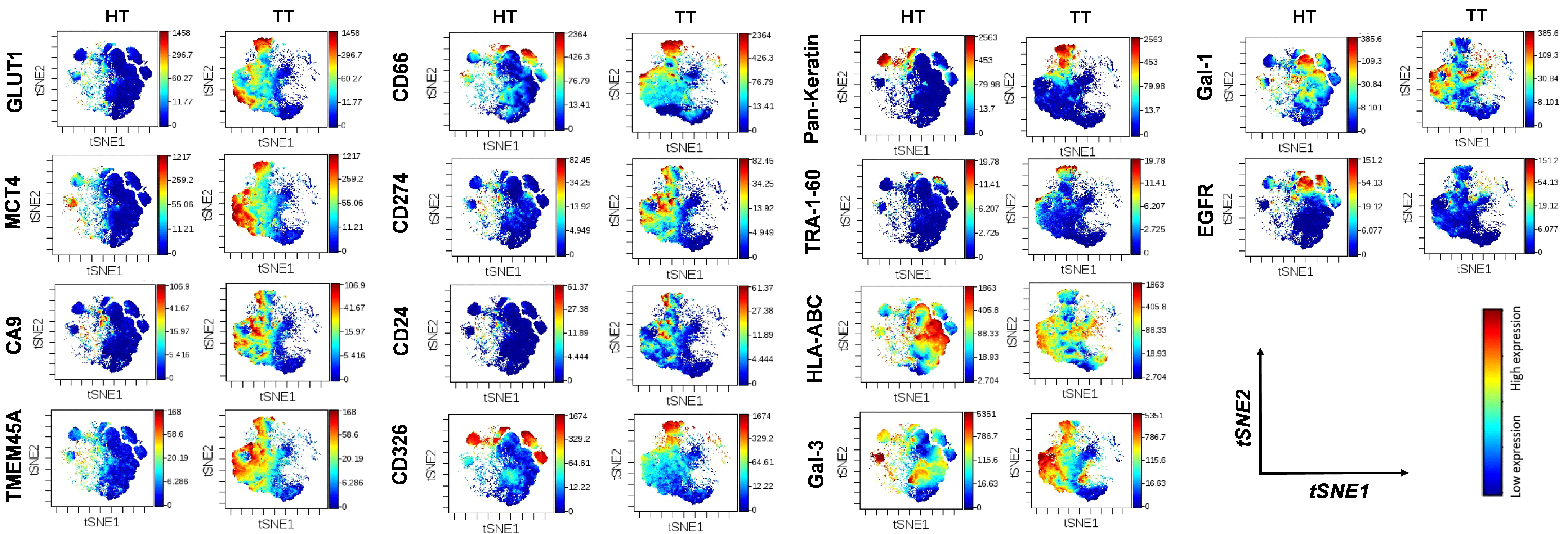 Cancers 14 00144 g007